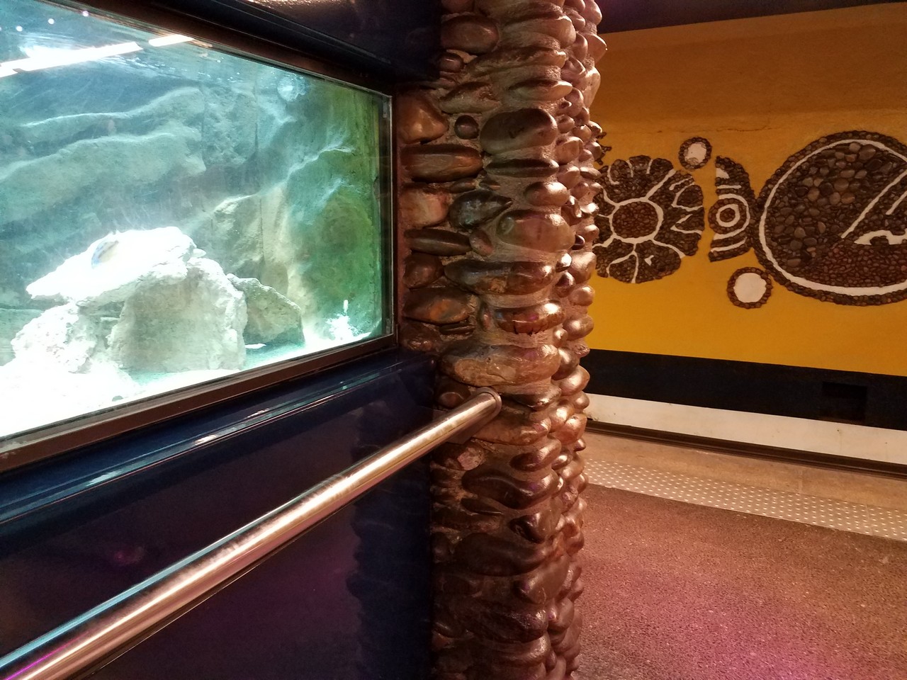 a glass tank in a room with a wall and a turtle