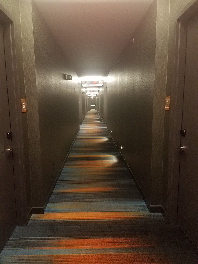 a hallway with lights and a carpeted floor