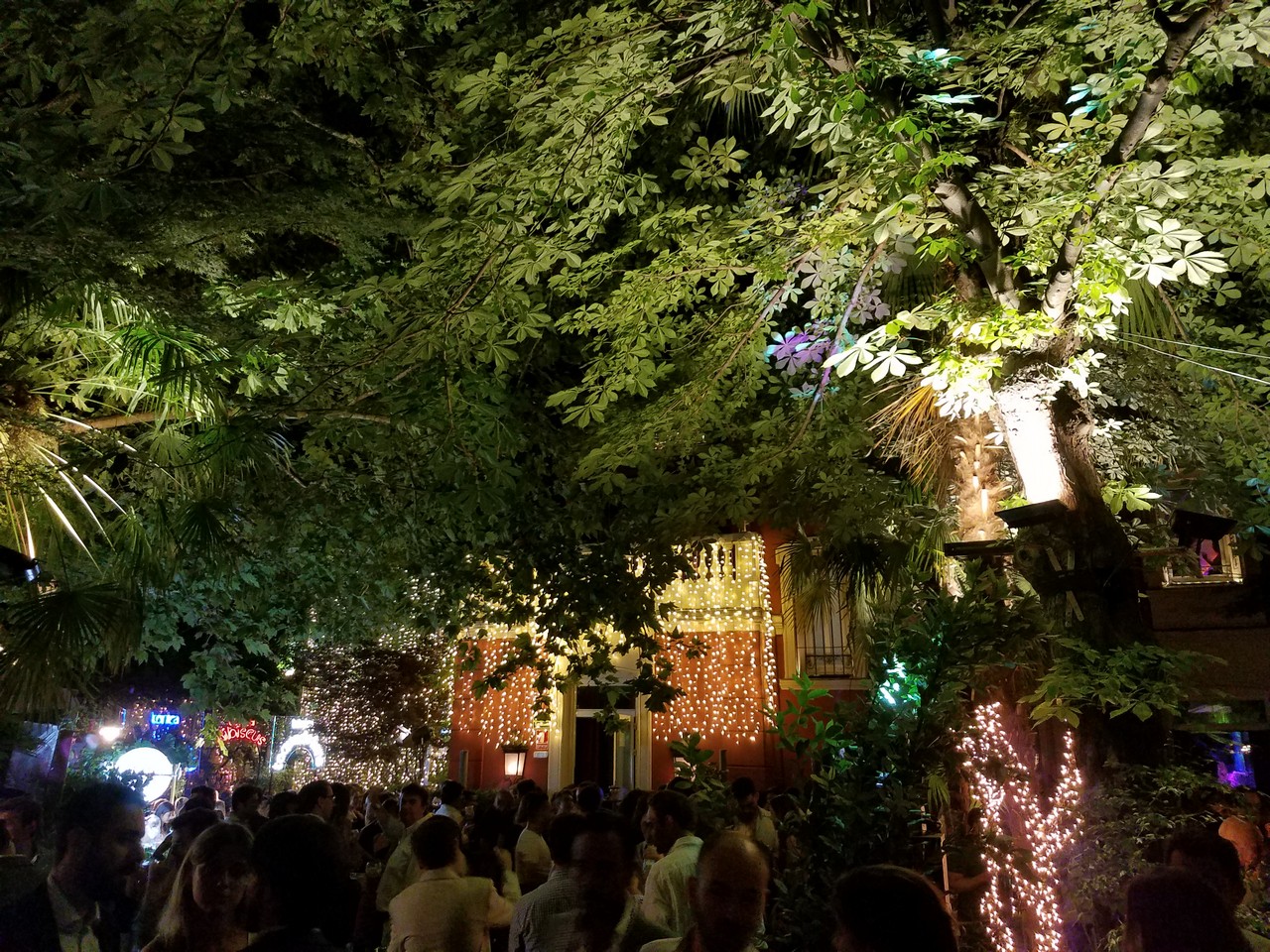 a group of people in a street with trees and lights