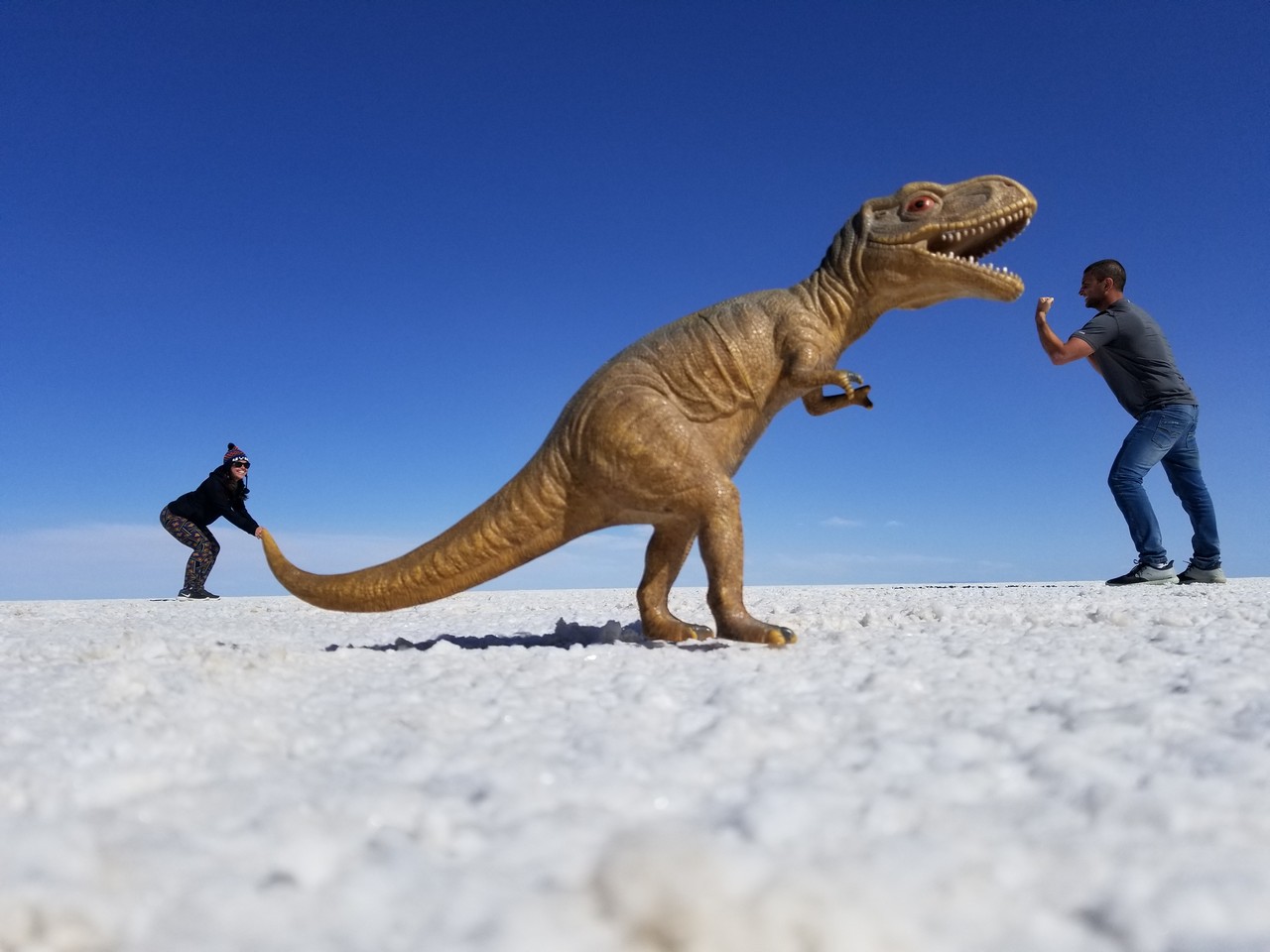 a man pushing a dinosaur on a beach