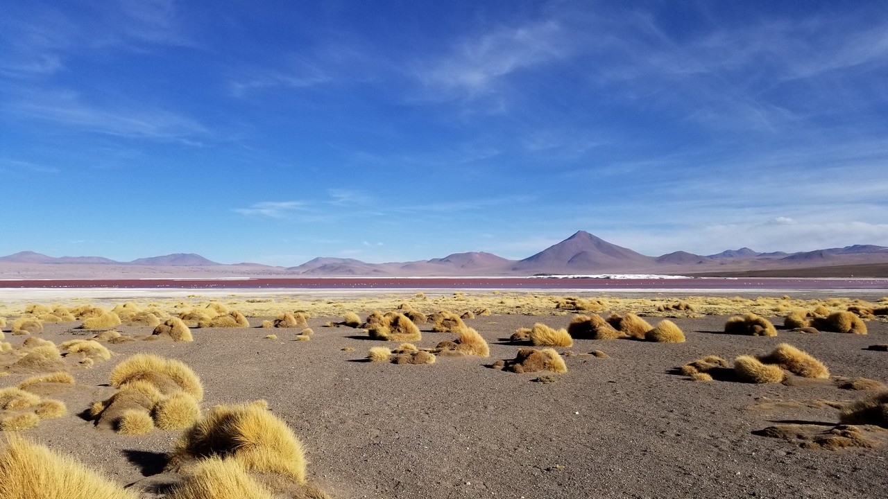 a dry desert with mountains in the background