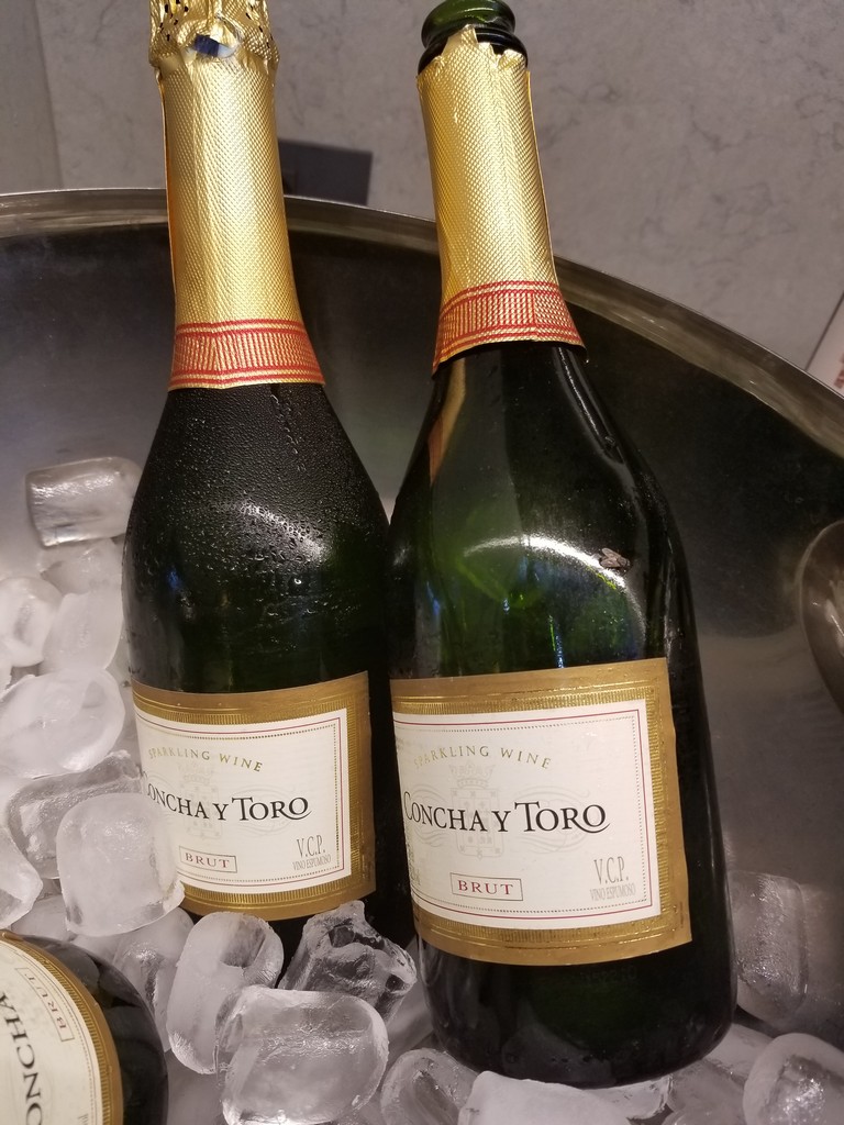 two bottles of wine in a bucket of ice