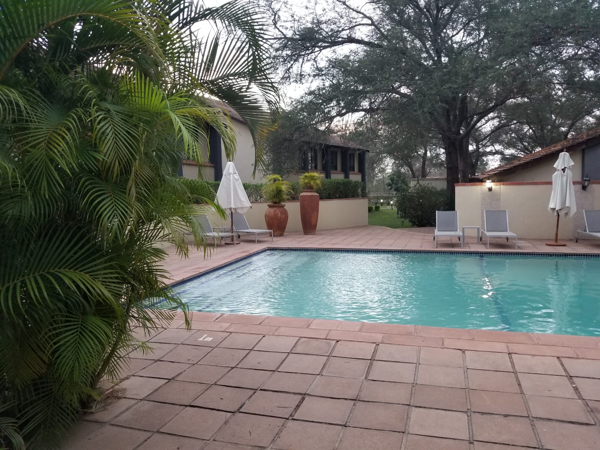 a pool with chairs and trees in the back