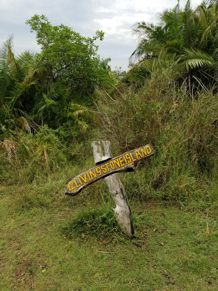 a sign in the grass