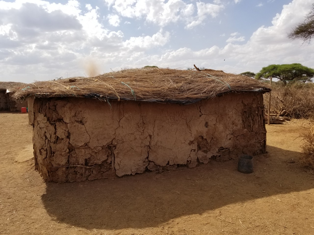 a mud hut with grass roof