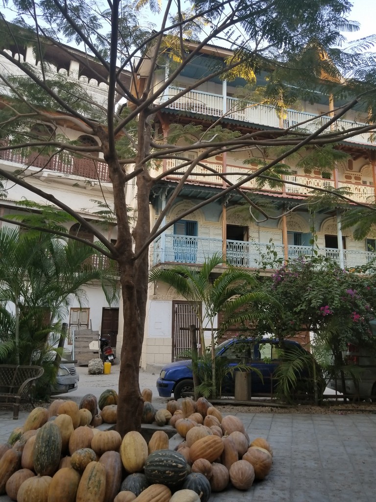 a tree with pumpkins in front of a building