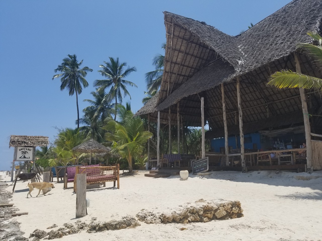 a building with a thatched roof and a beach