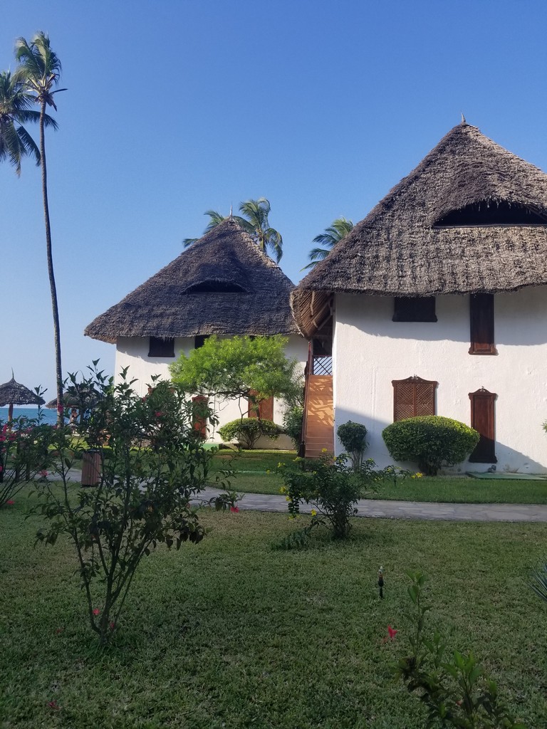 a two white houses with thatched roofs