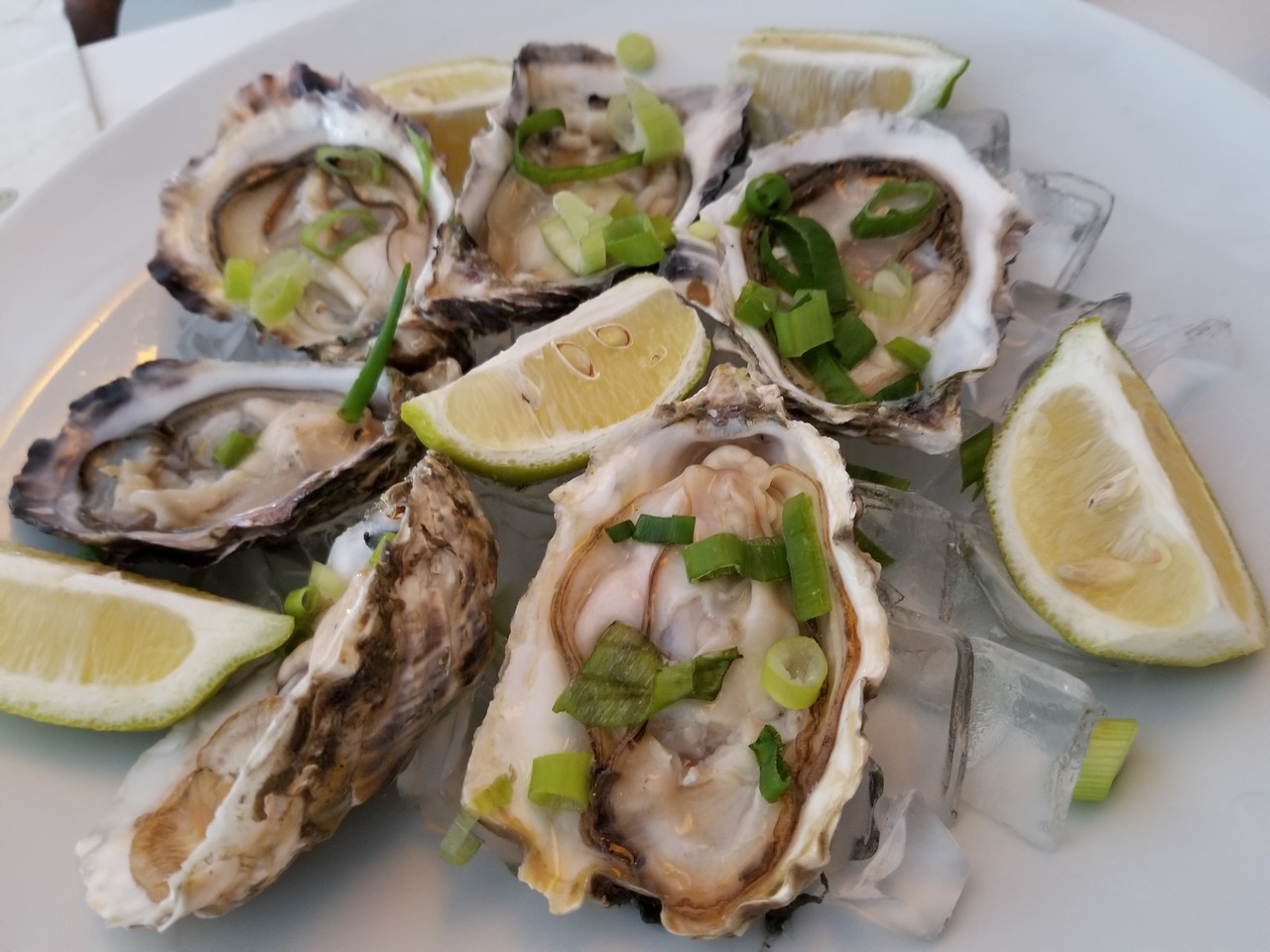 a plate of oysters with lime wedges