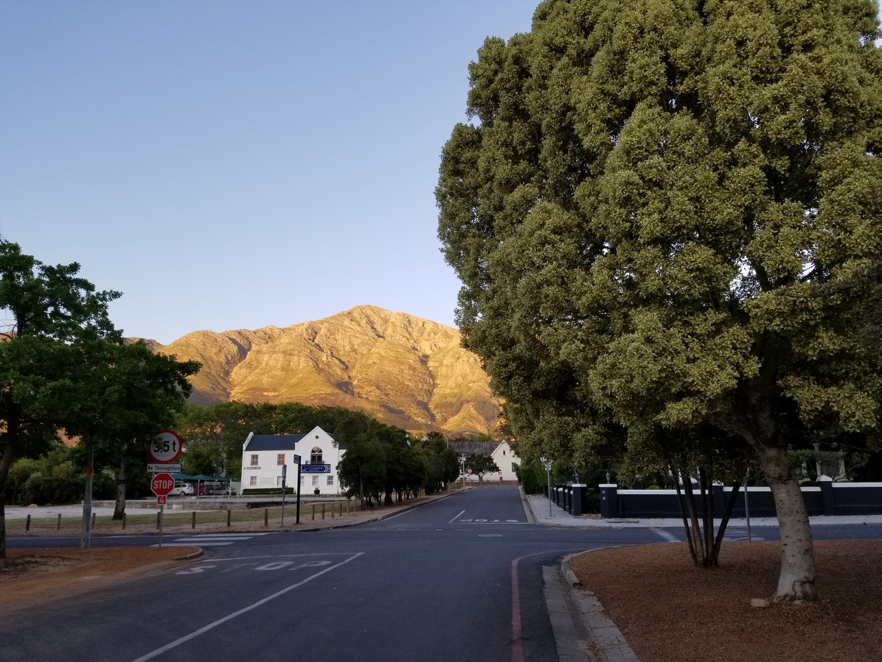 a road with trees and a mountain in the background