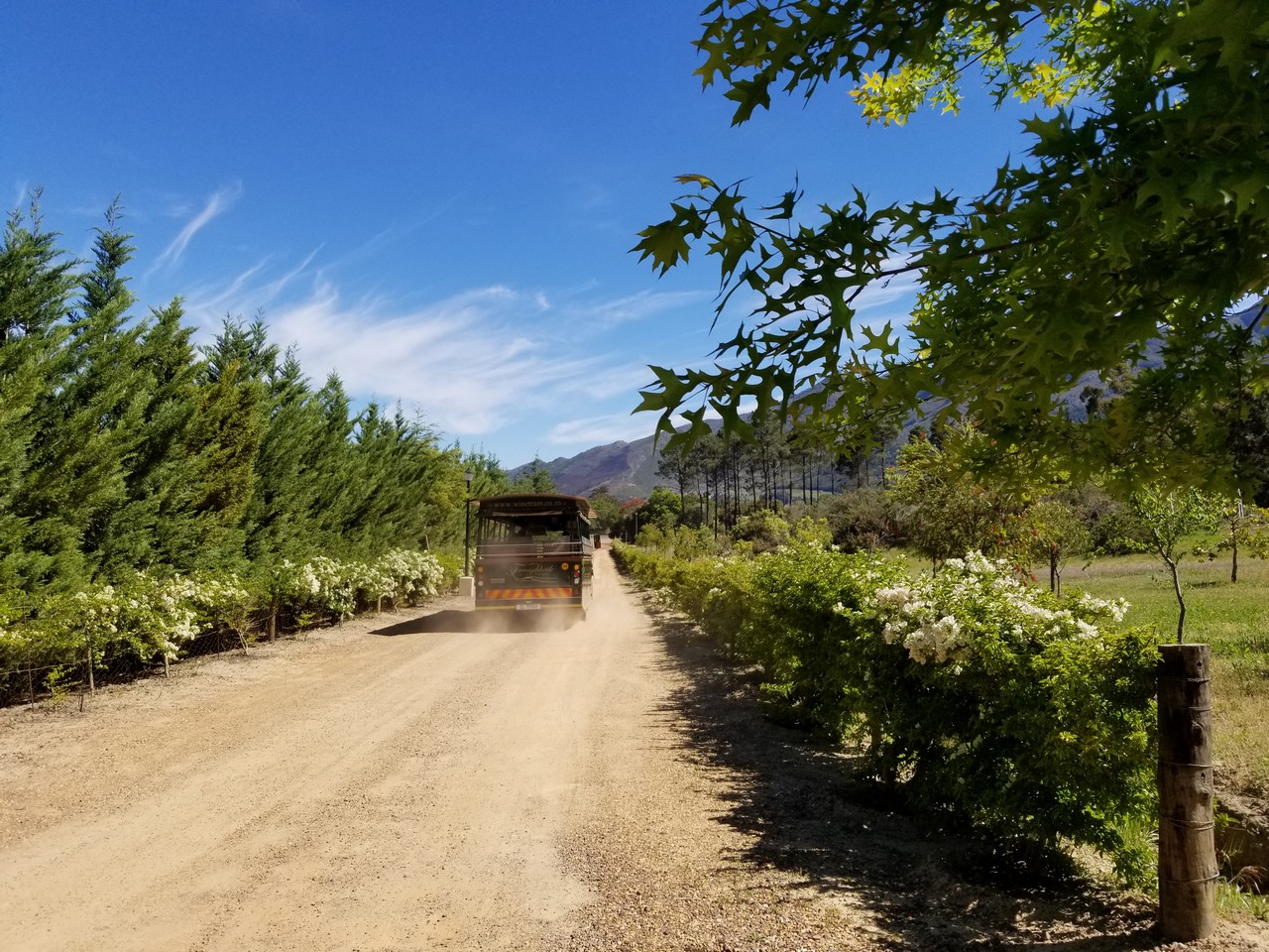 a truck driving on a dirt road