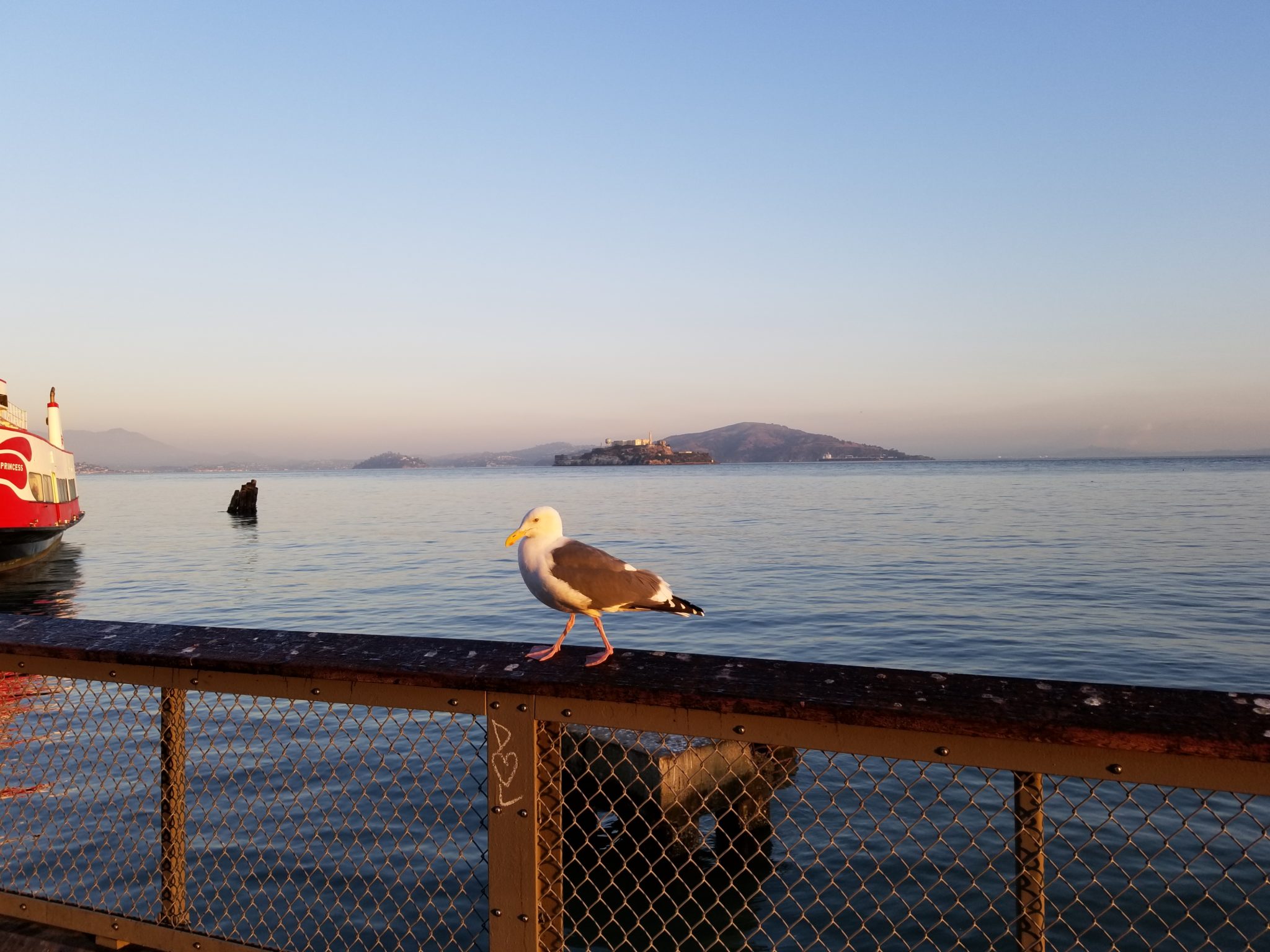 a bird standing on a fence near water