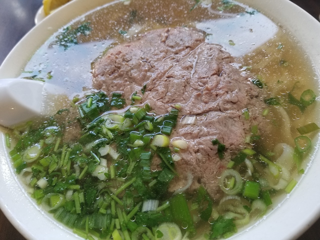 a bowl of soup with meat and green onions