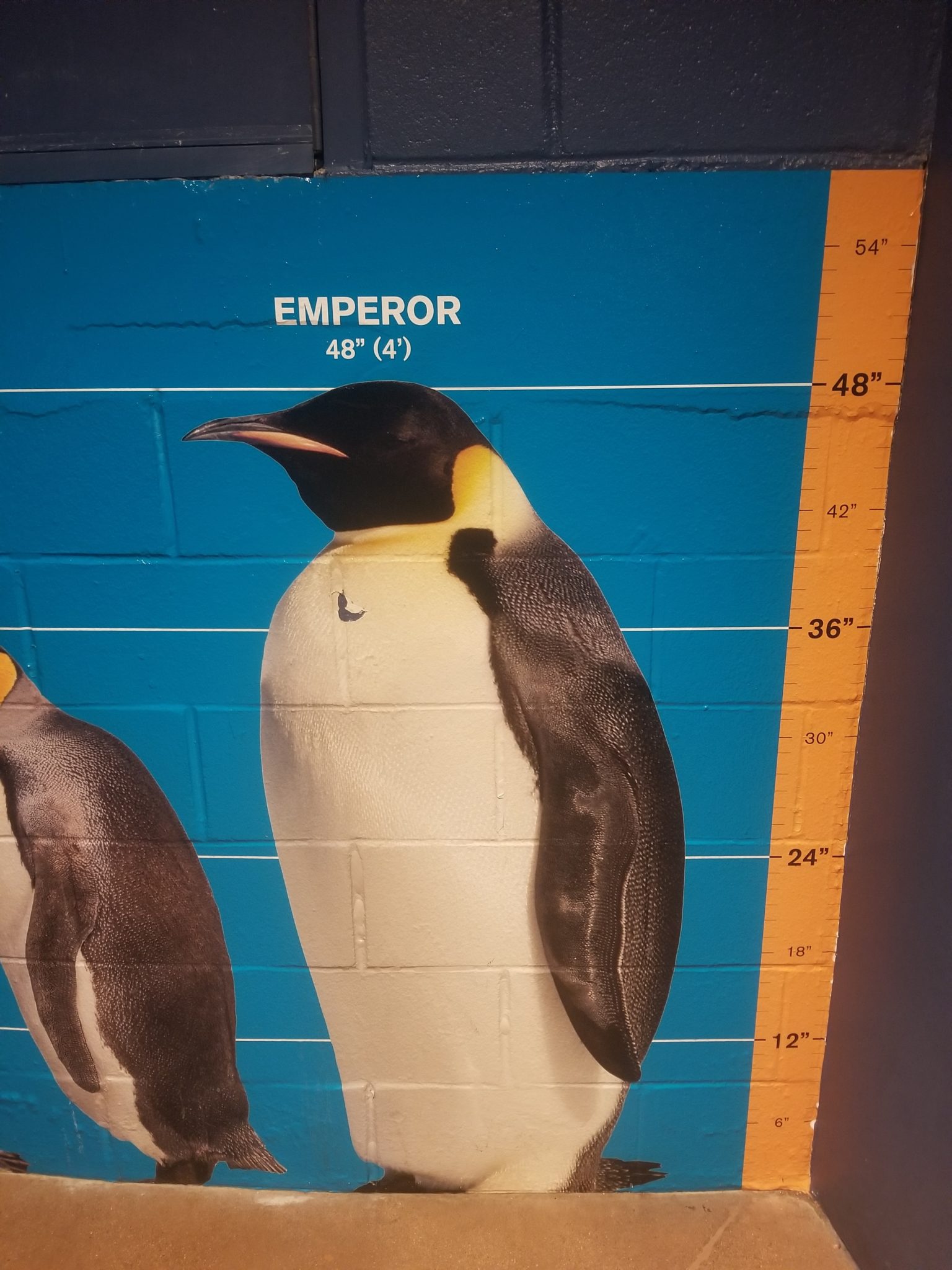 a wall with penguins on it