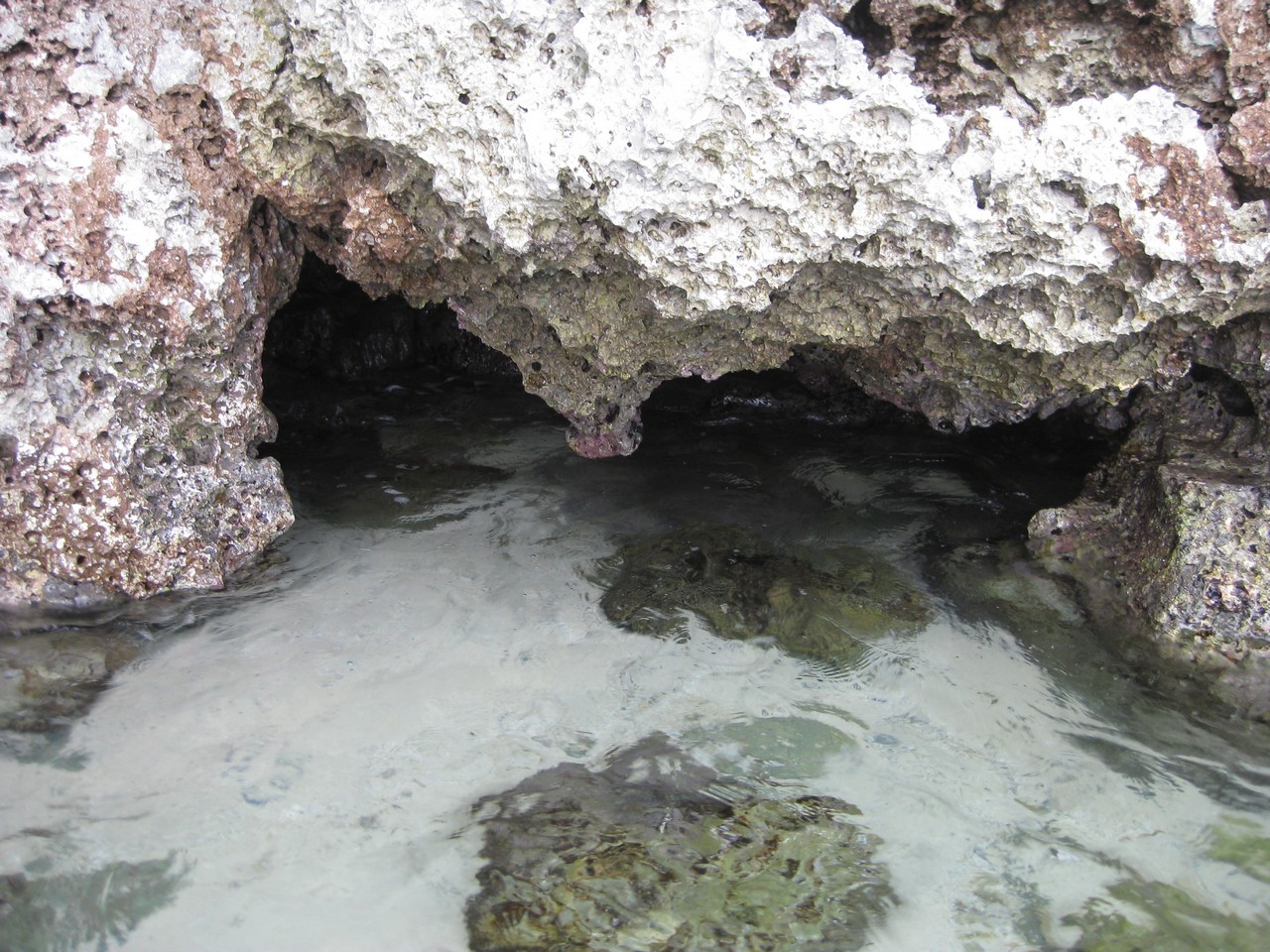 a rock and water with a cave
