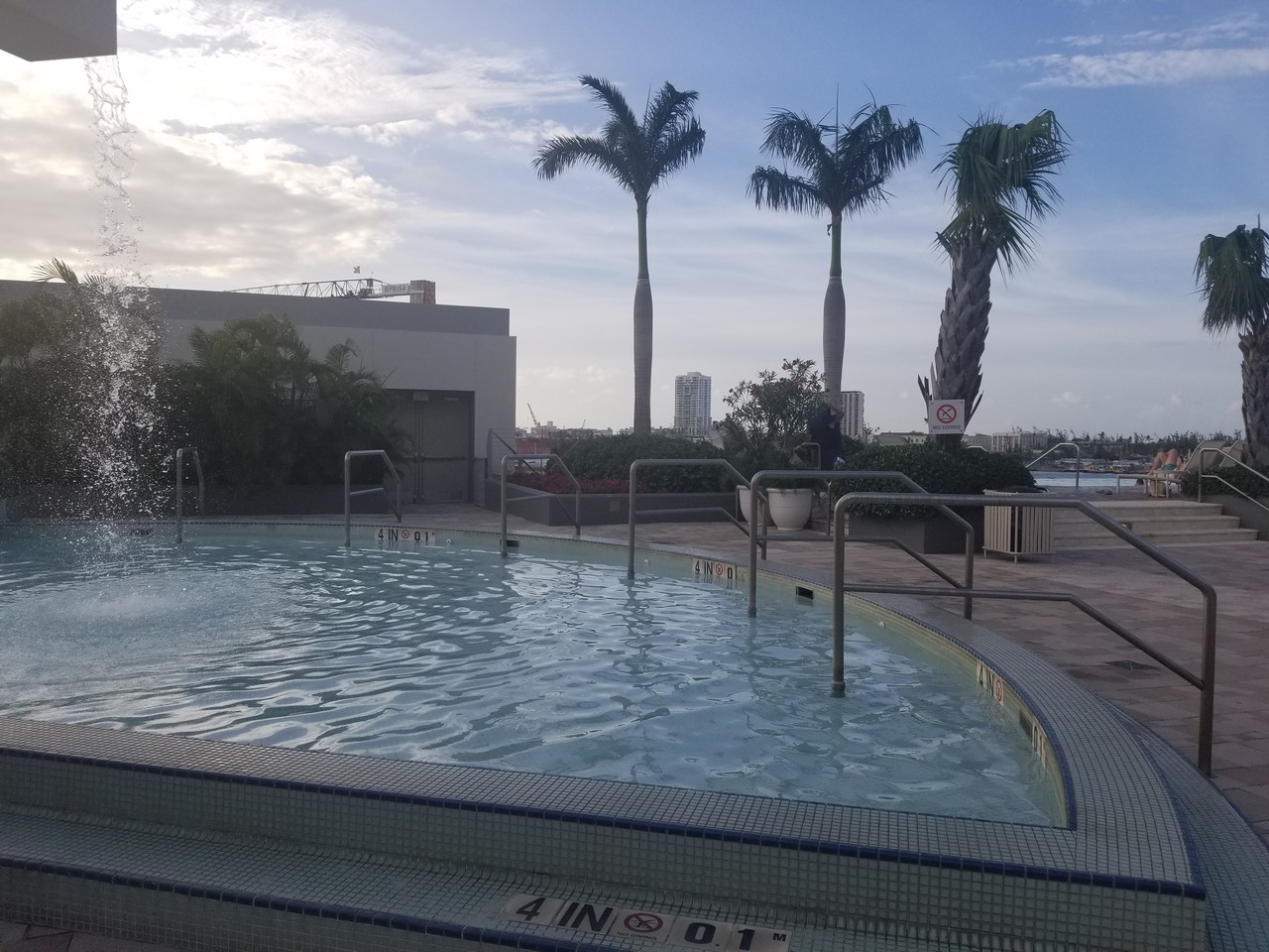 a pool with a railing and palm trees
