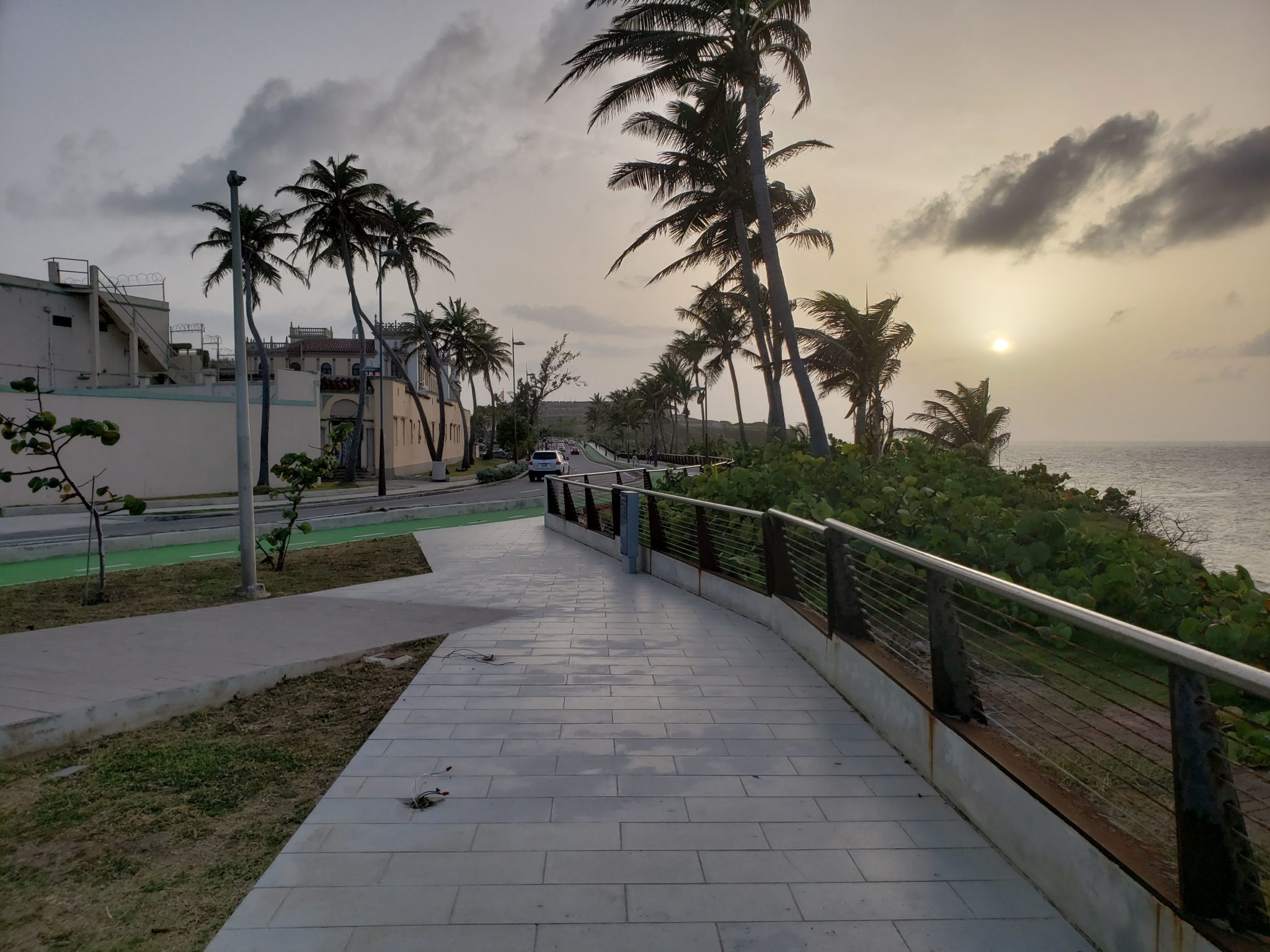 a walkway with palm trees and buildings