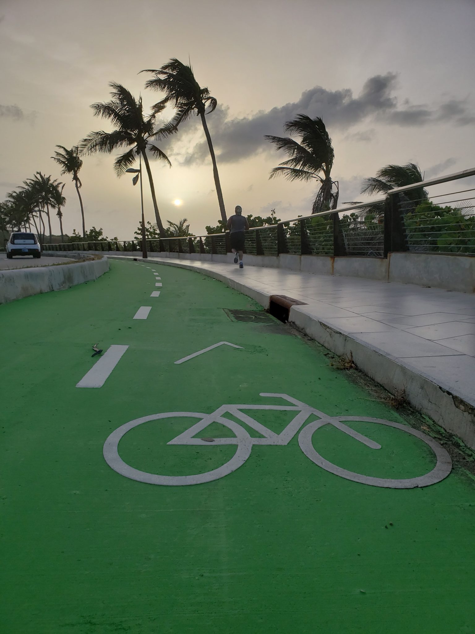 a bicycle lane with palm trees and a person walking on a sidewalk