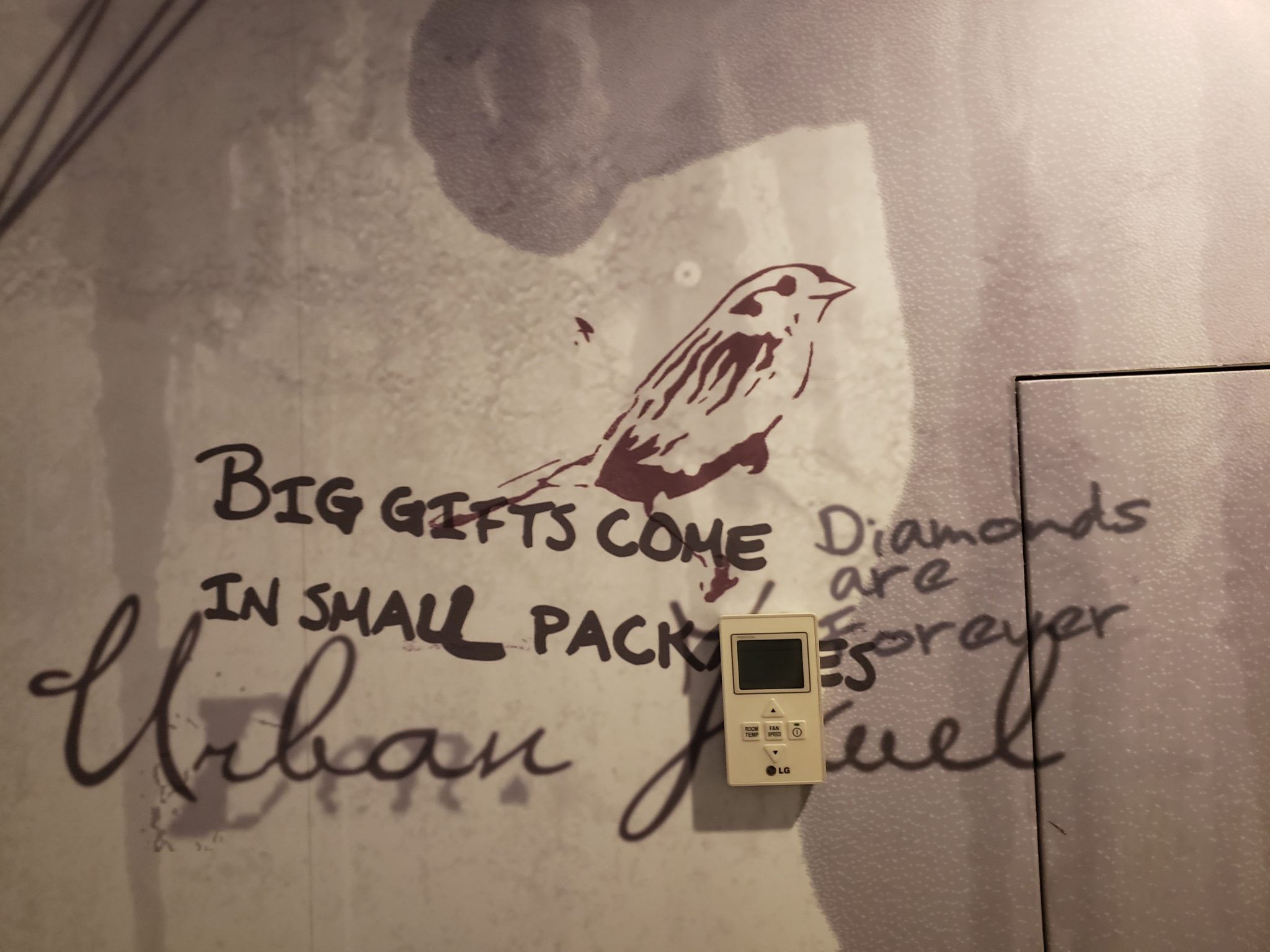 a wall with a picture of a bird and a temperature controller