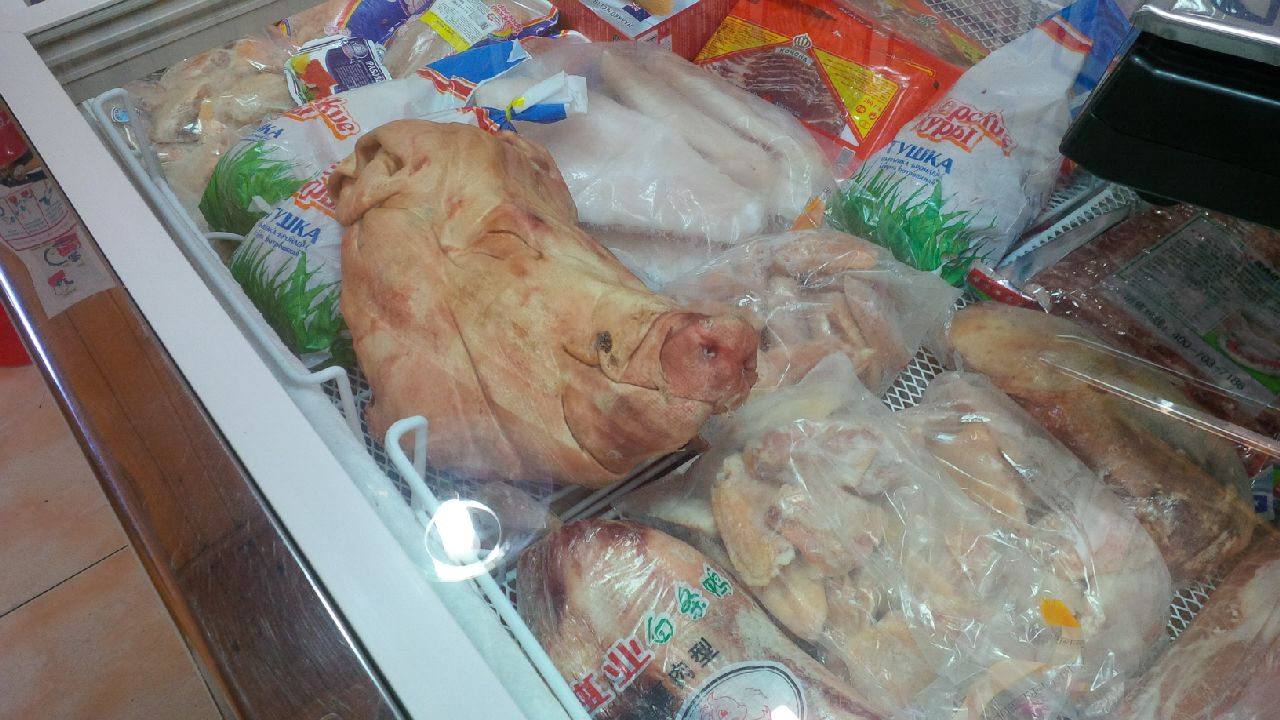 a pig head in plastic bags