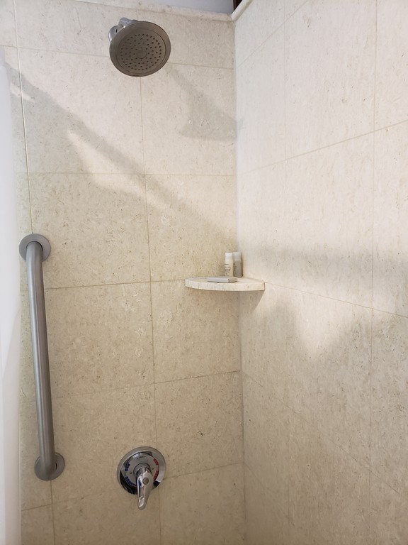 a shower with a hand shower