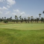 20180706_120132_result