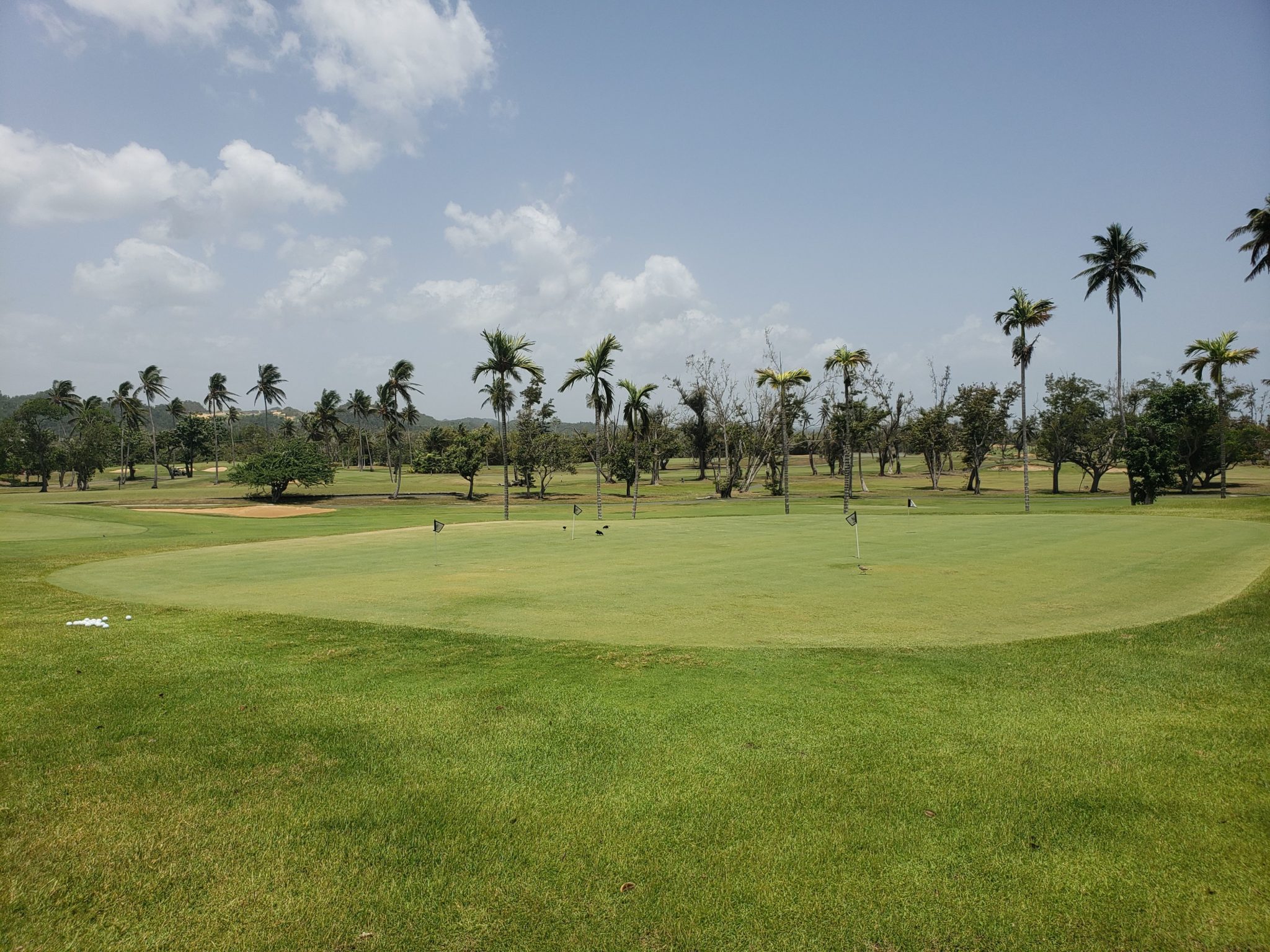 a golf course with palm trees and blue sky
