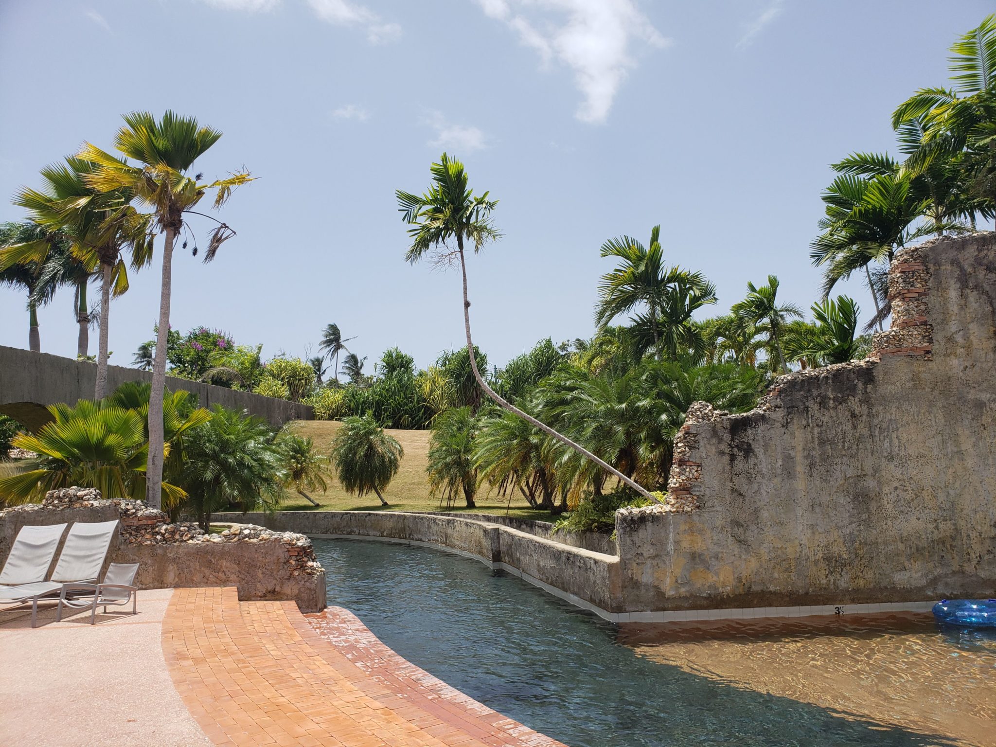 a water channel with palm trees and a brick walkway