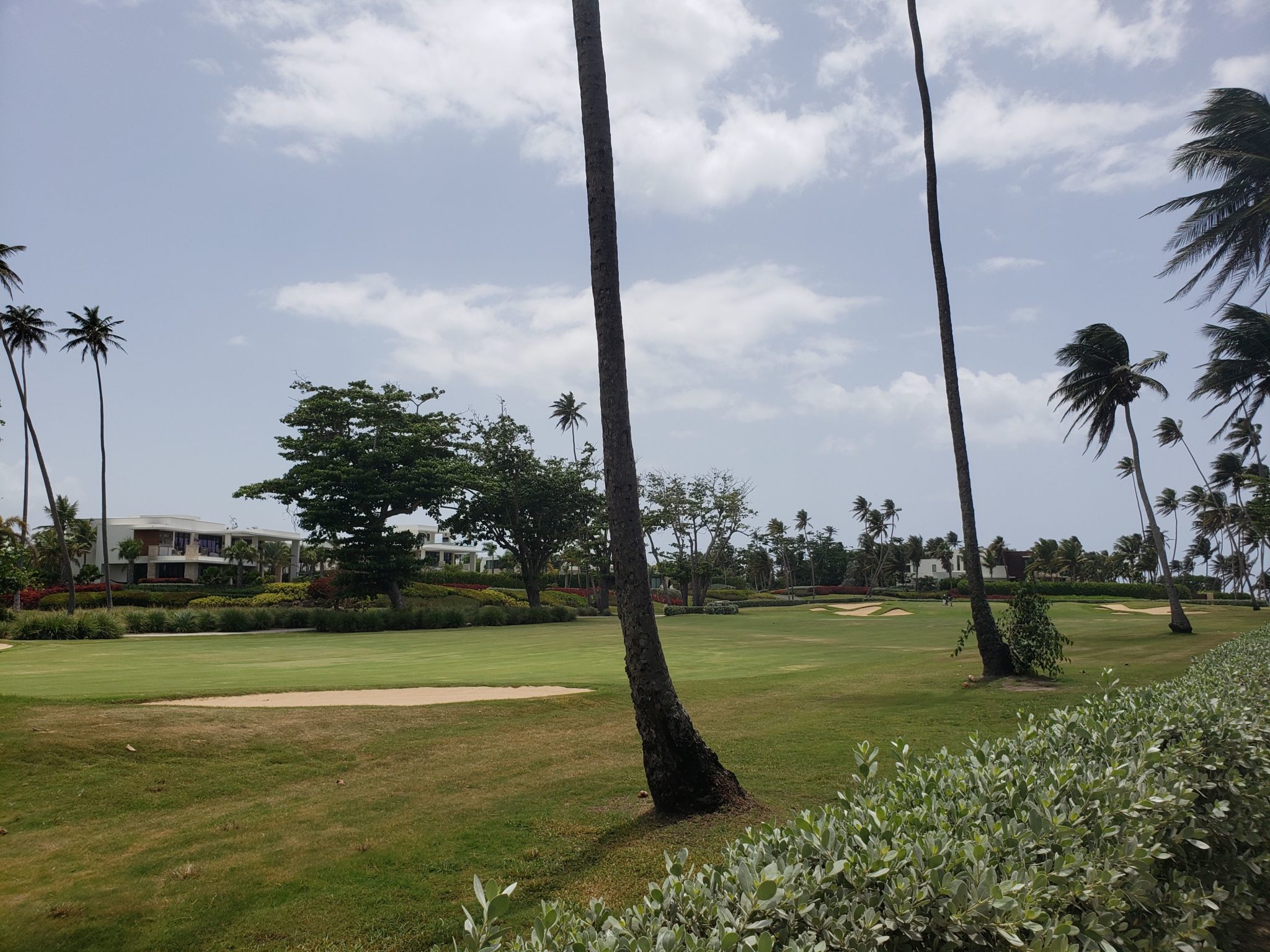 a golf course with palm trees and a building