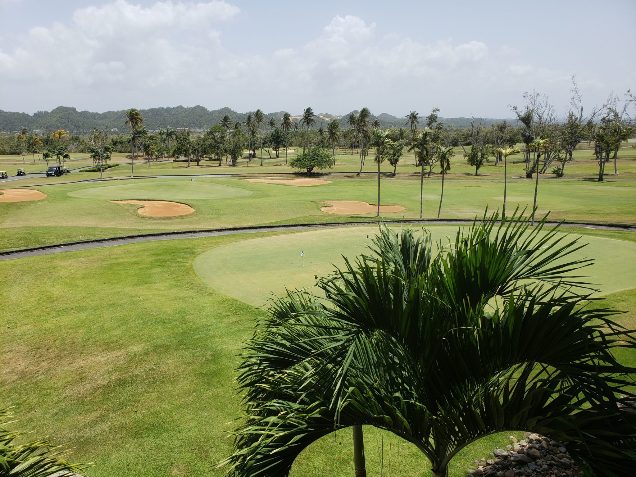 a golf course with palm trees and a hill