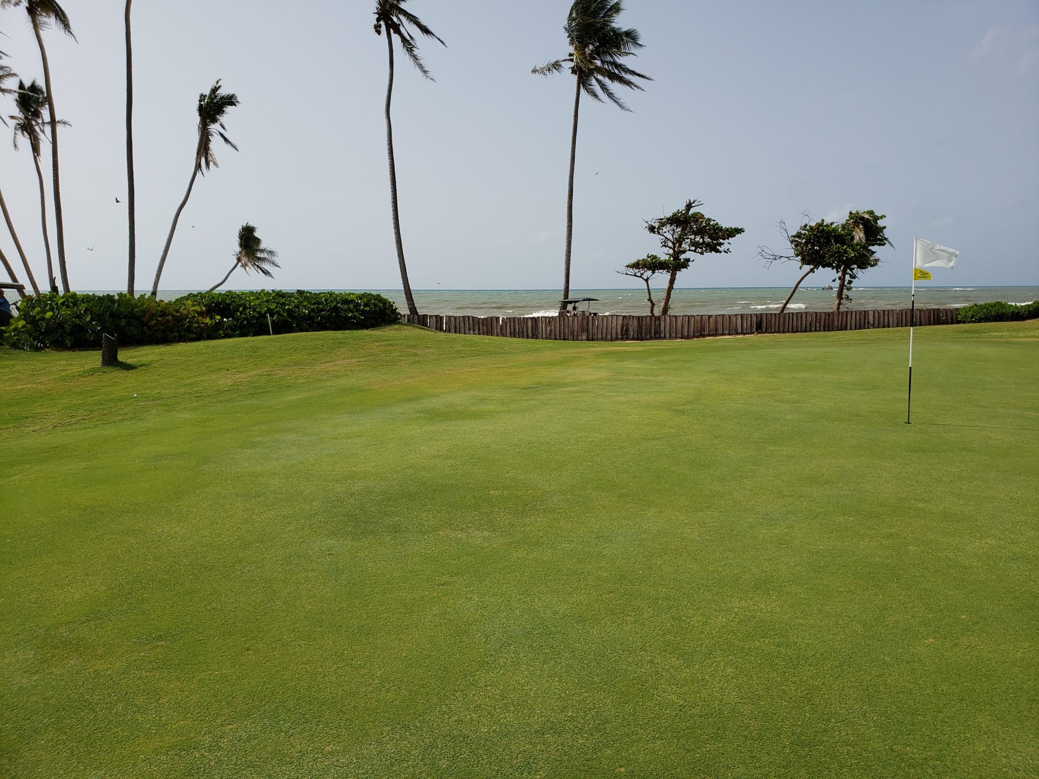 a golf course with palm trees and a fence