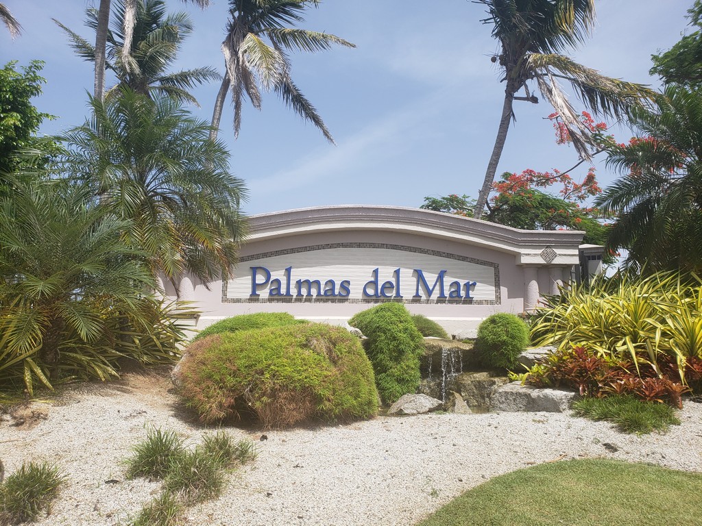 a sign with palm trees and bushes