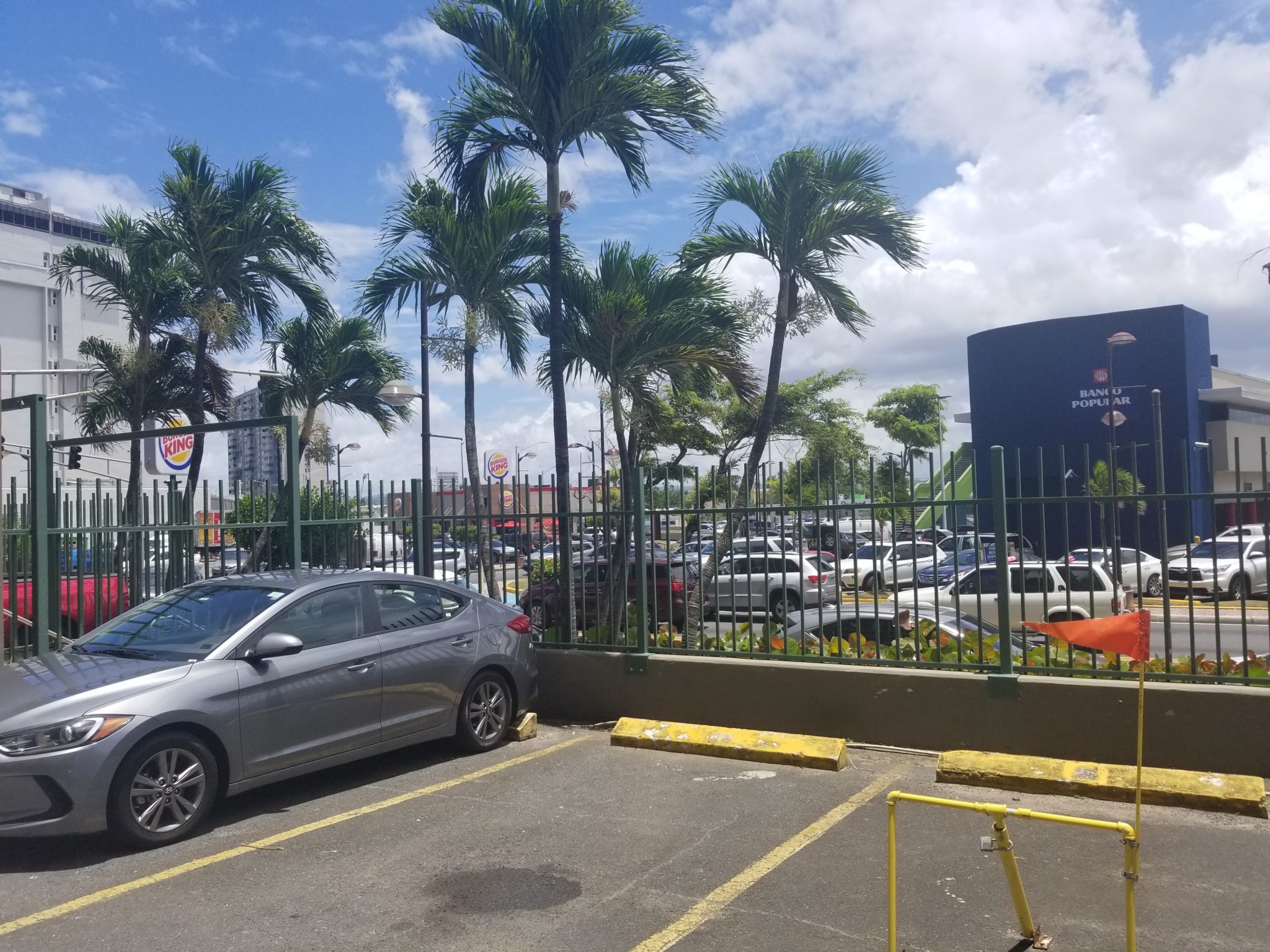 a parking lot with palm trees and a fence