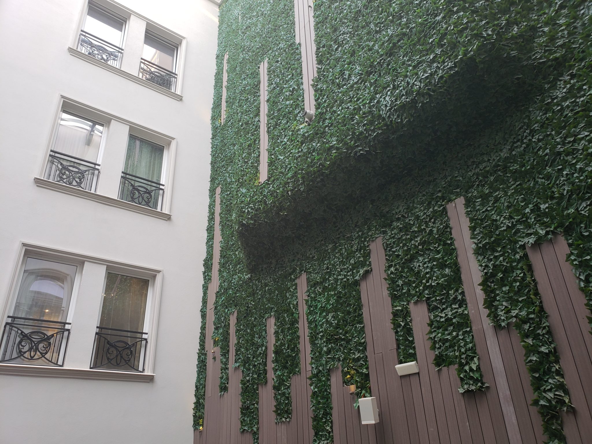a green wall with a fence and windows