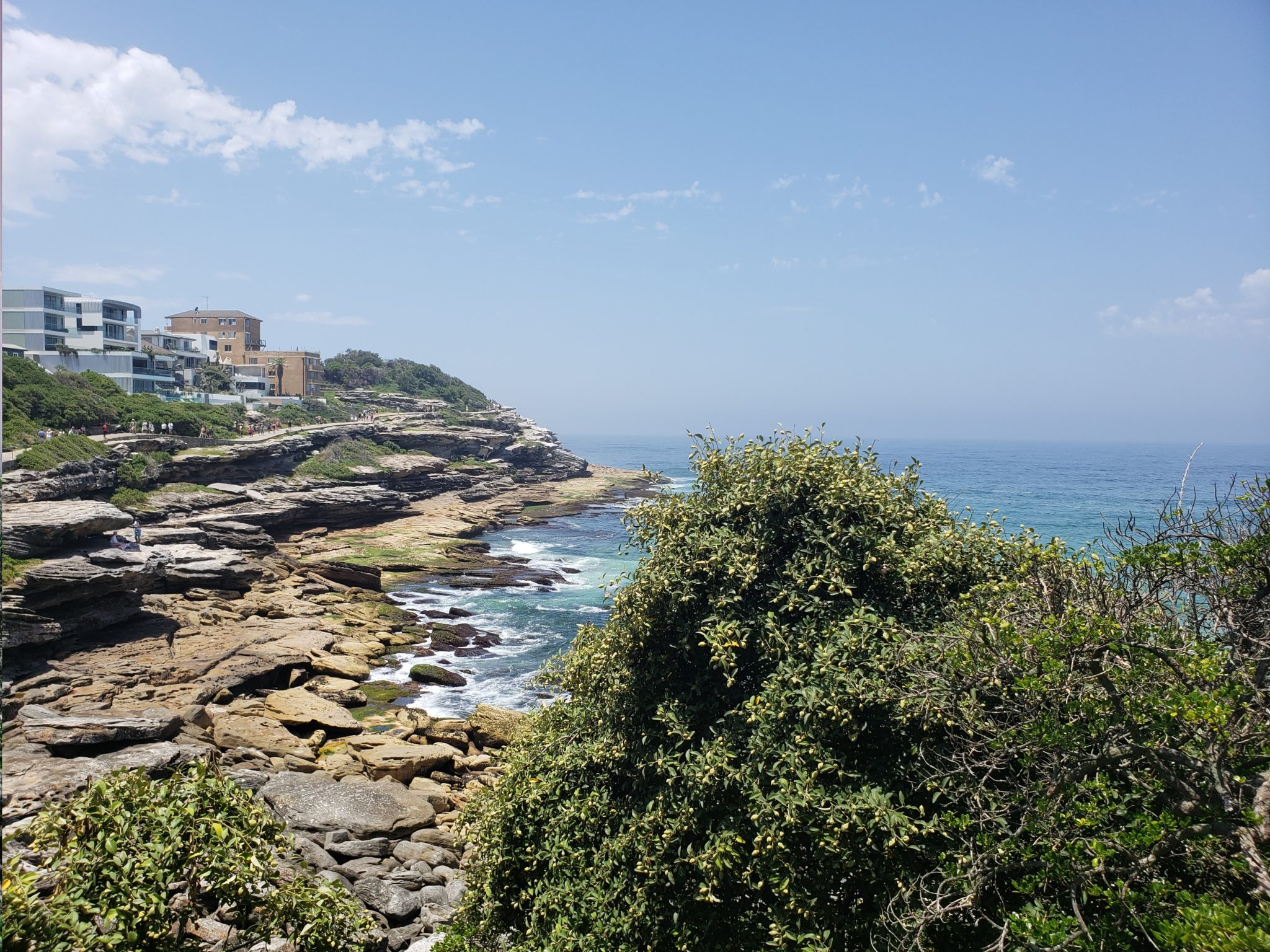 a rocky coastline with buildings and trees