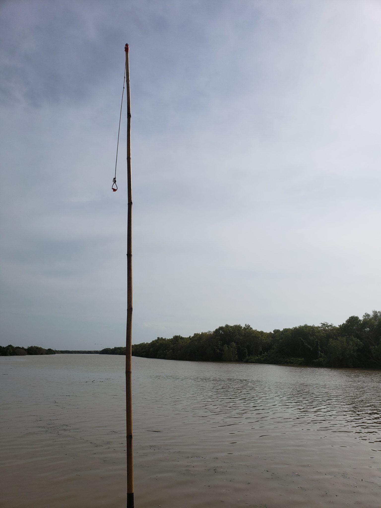 a pole in the water