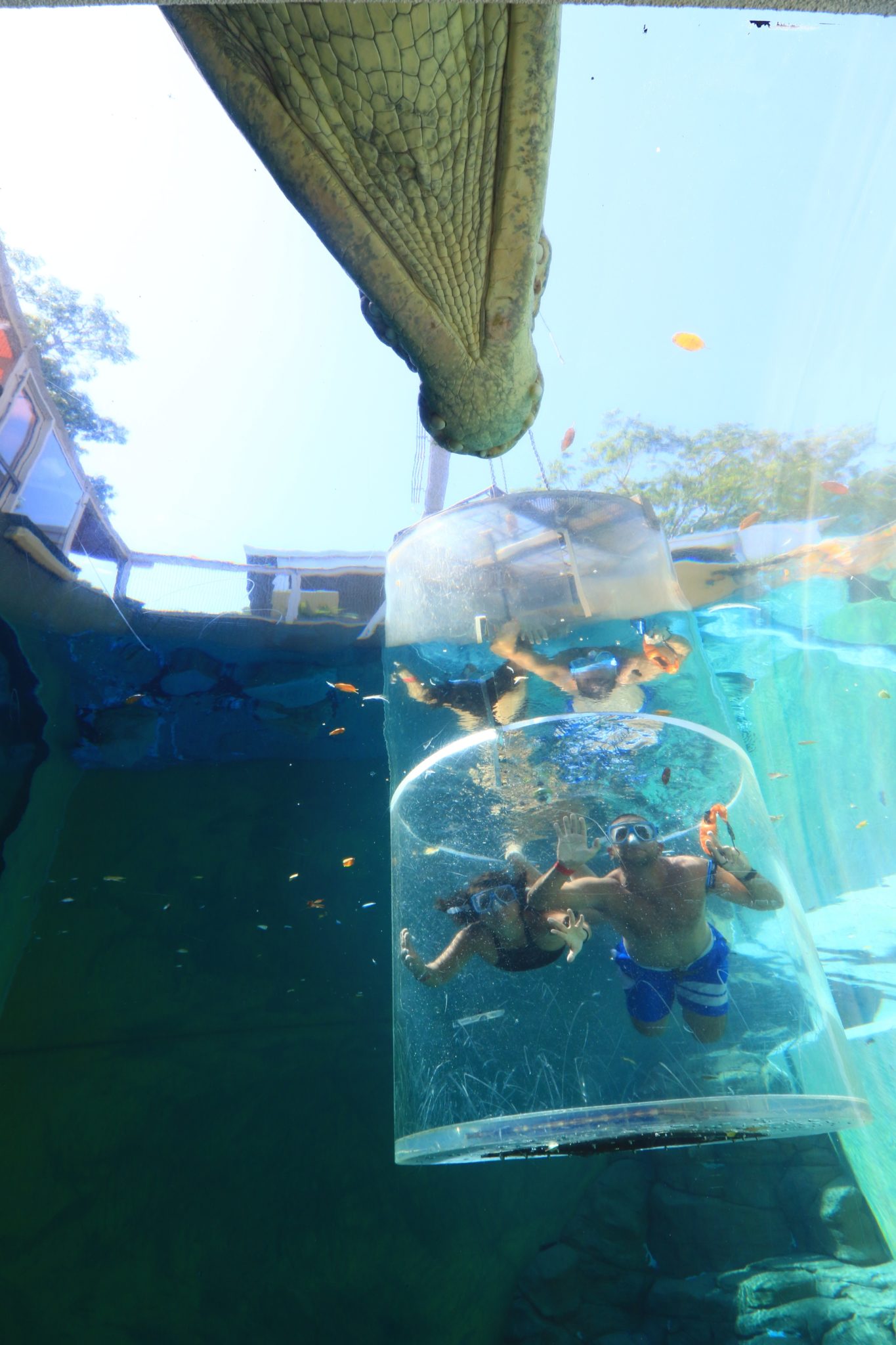 people swimming in a large glass cylinder