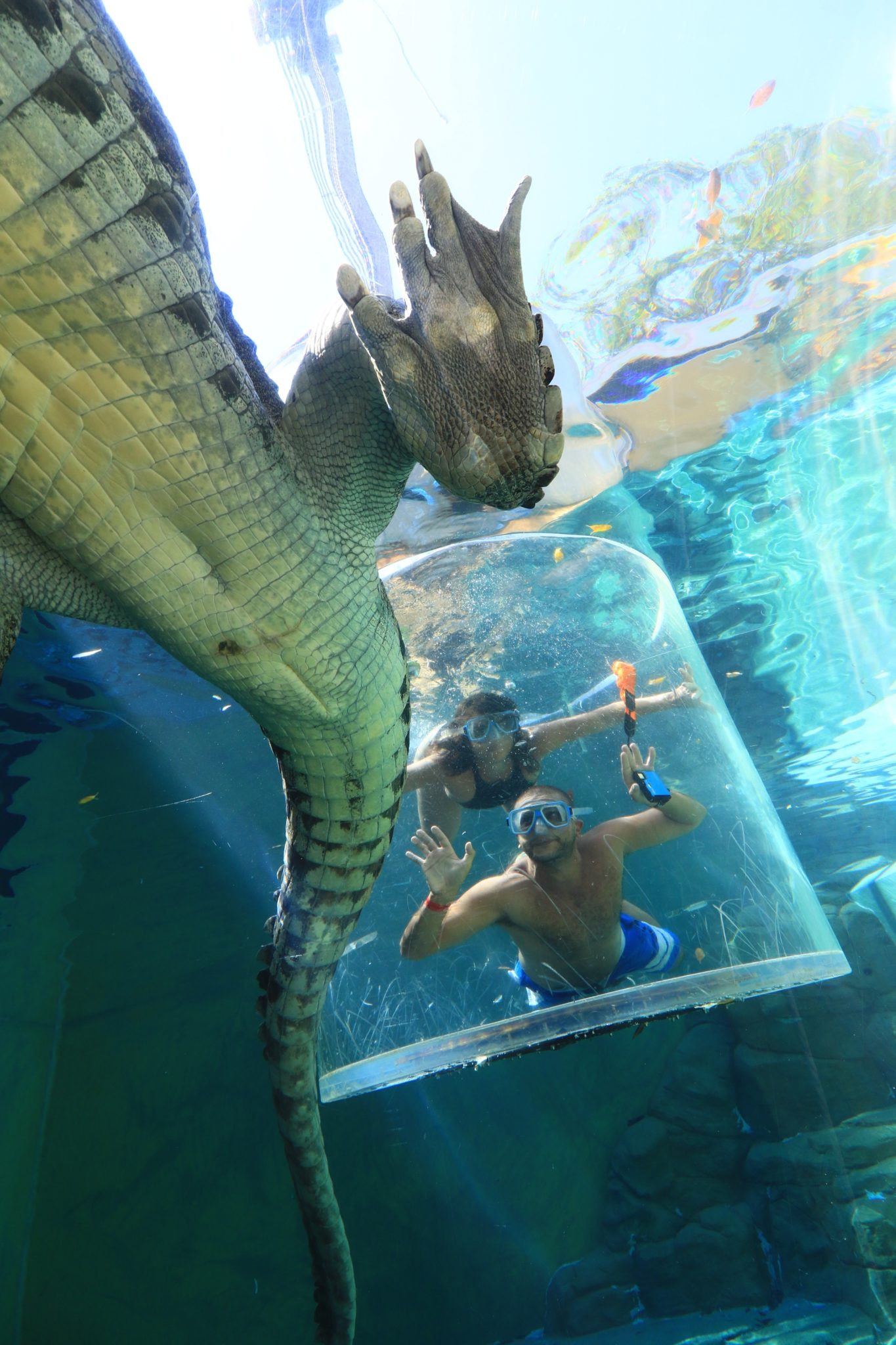 a man and woman underwater with a crocodile