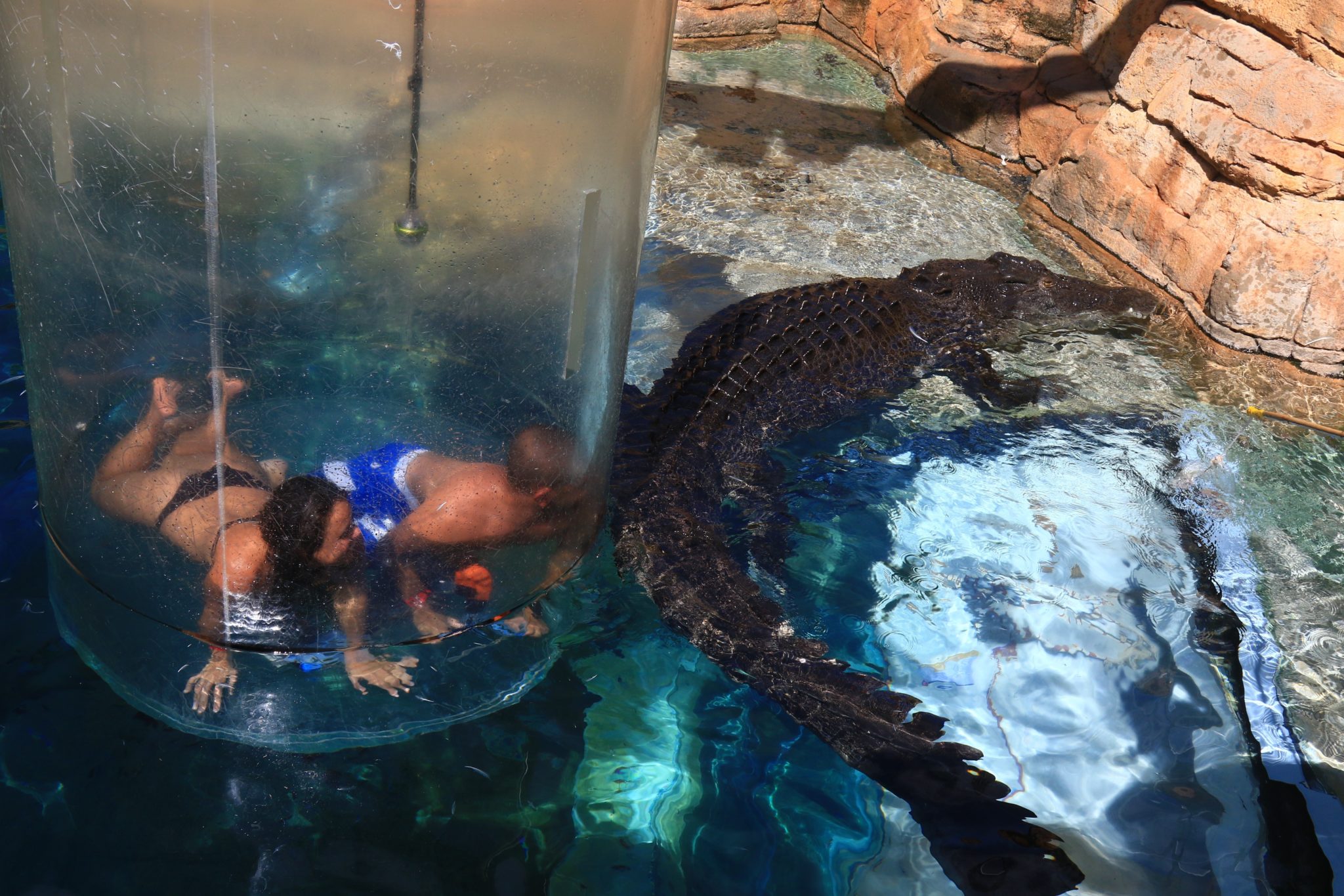 a man and woman in a glass tube with a large alligator in the water