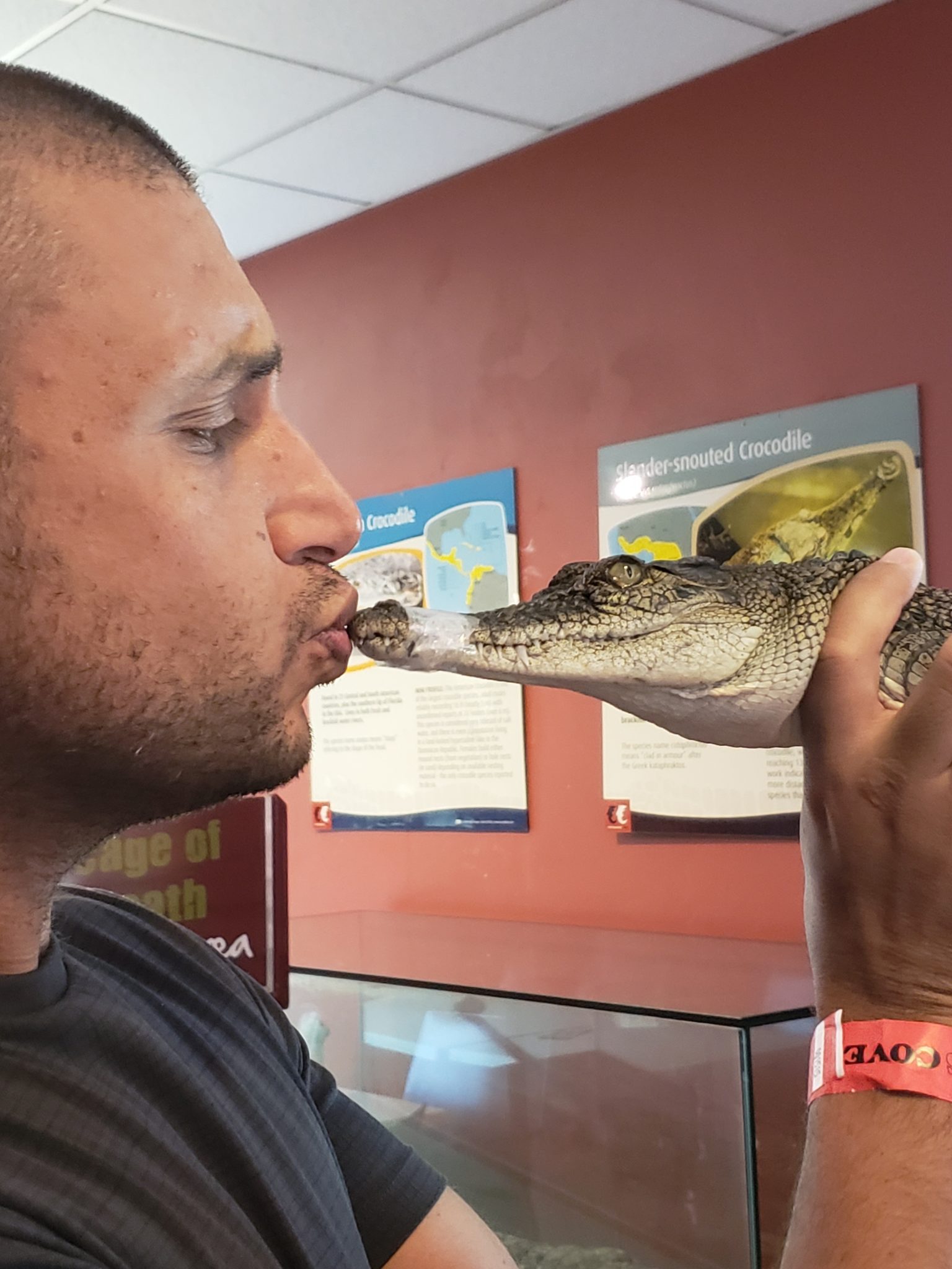 a man kissing a baby alligator