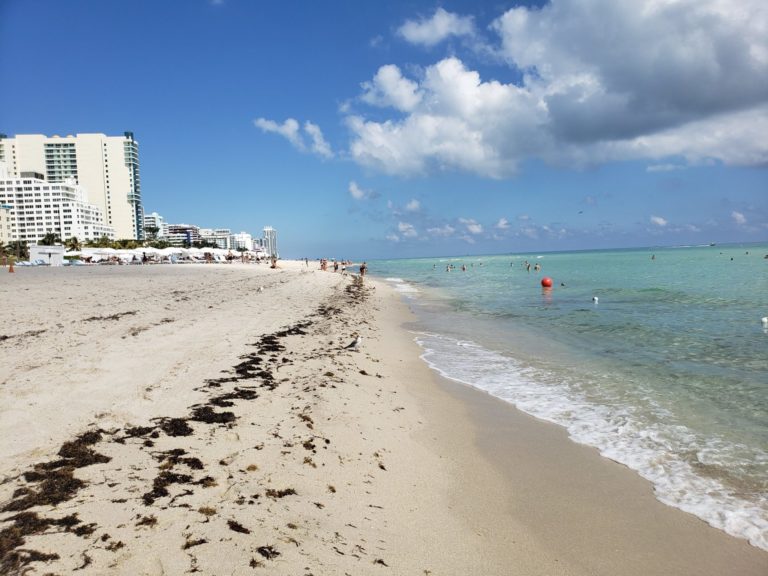 Who Runs Miami Beach?