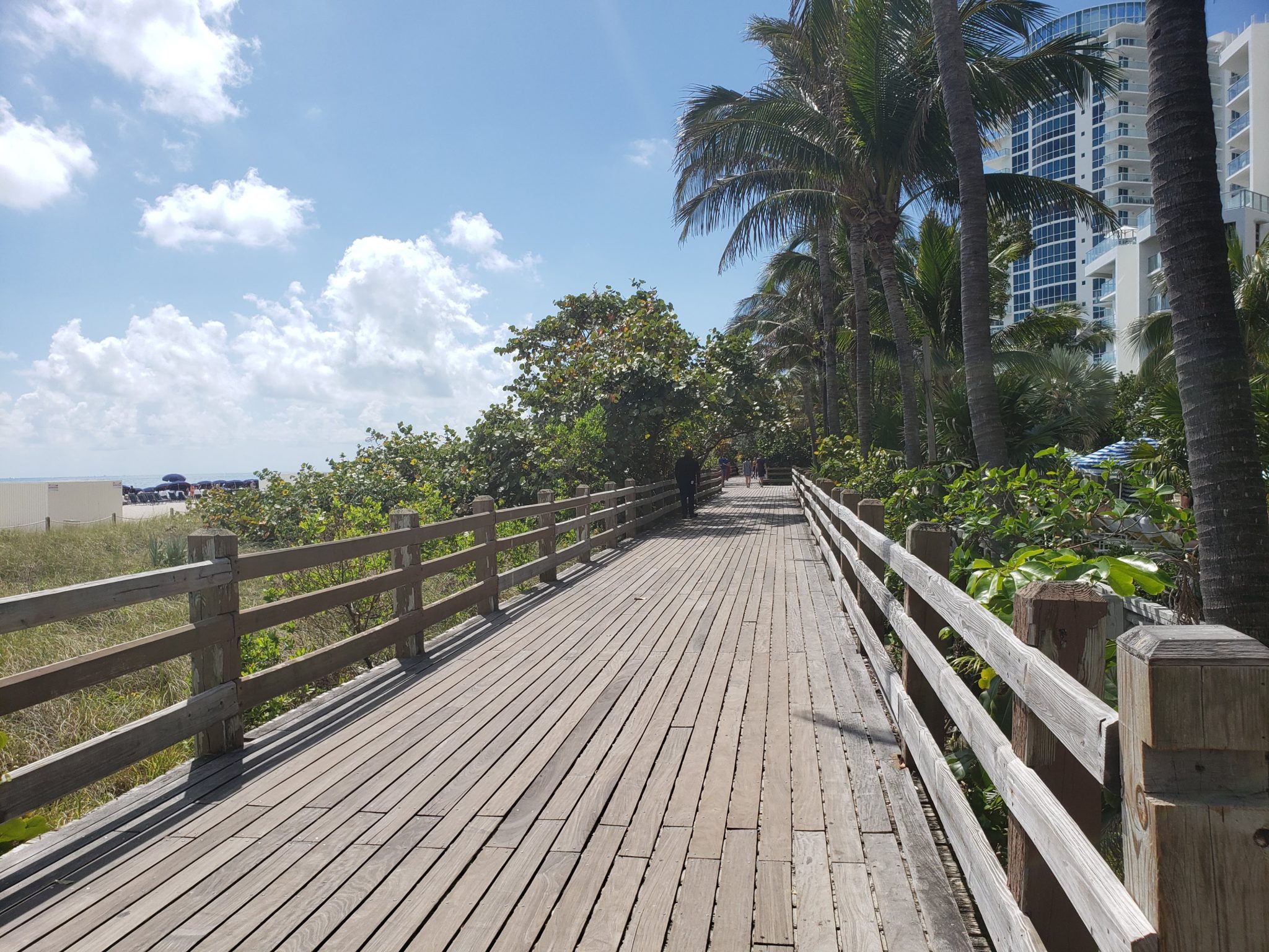 a wooden walkway with palm trees and buildings