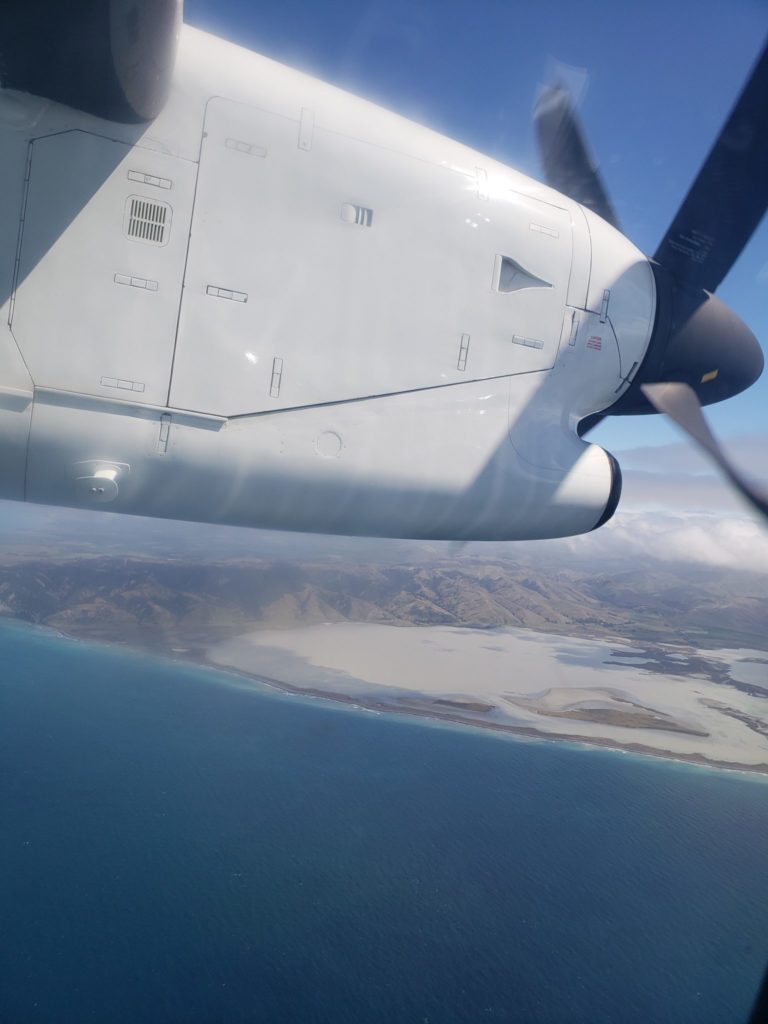 Air New Zealand Flex: Fly When You Want for the Lowest Price