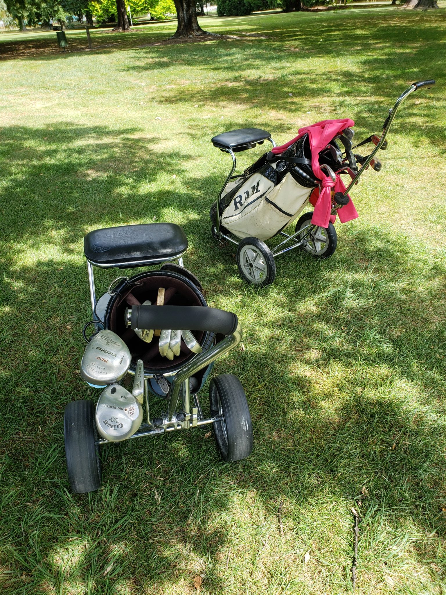 a golf cart and a bag on grass