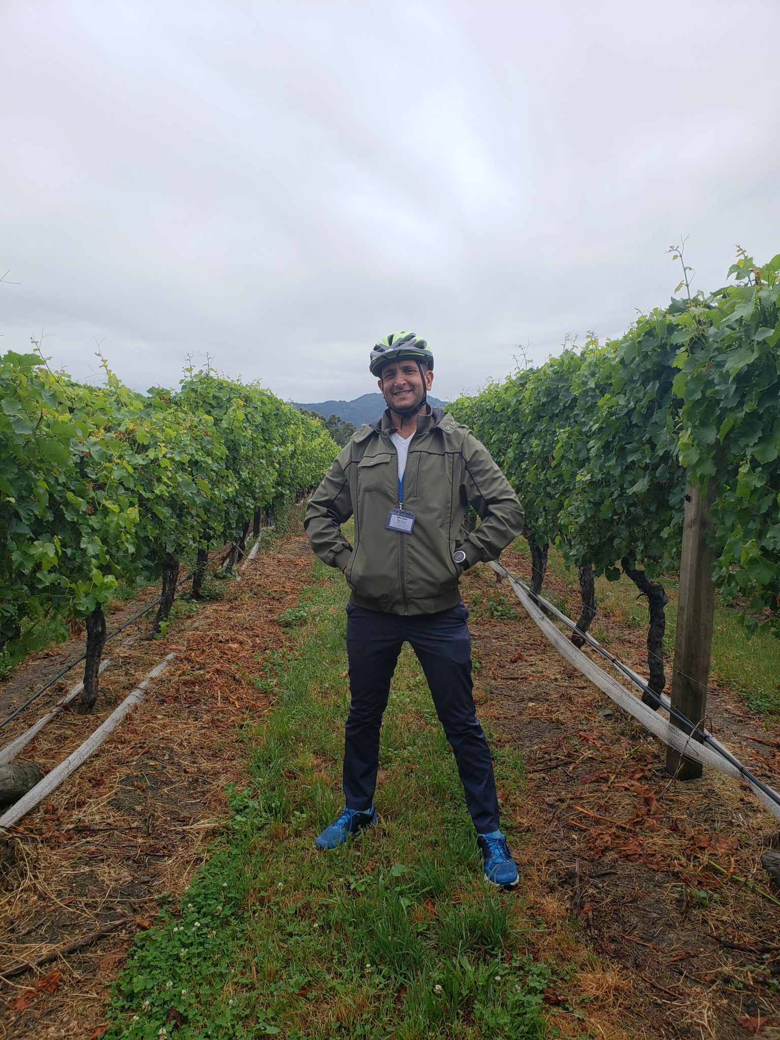 a man standing in a vineyard