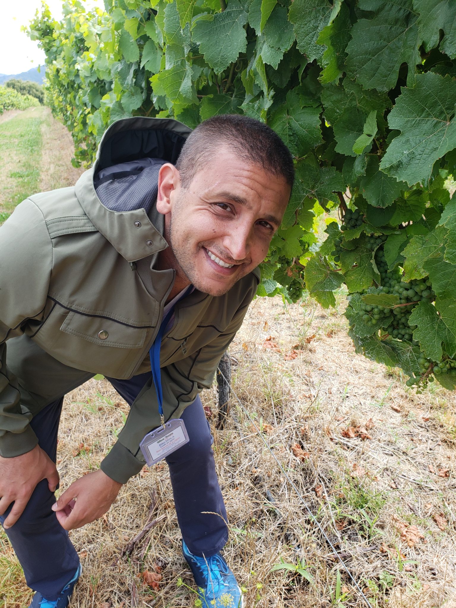 a man standing in a vineyard