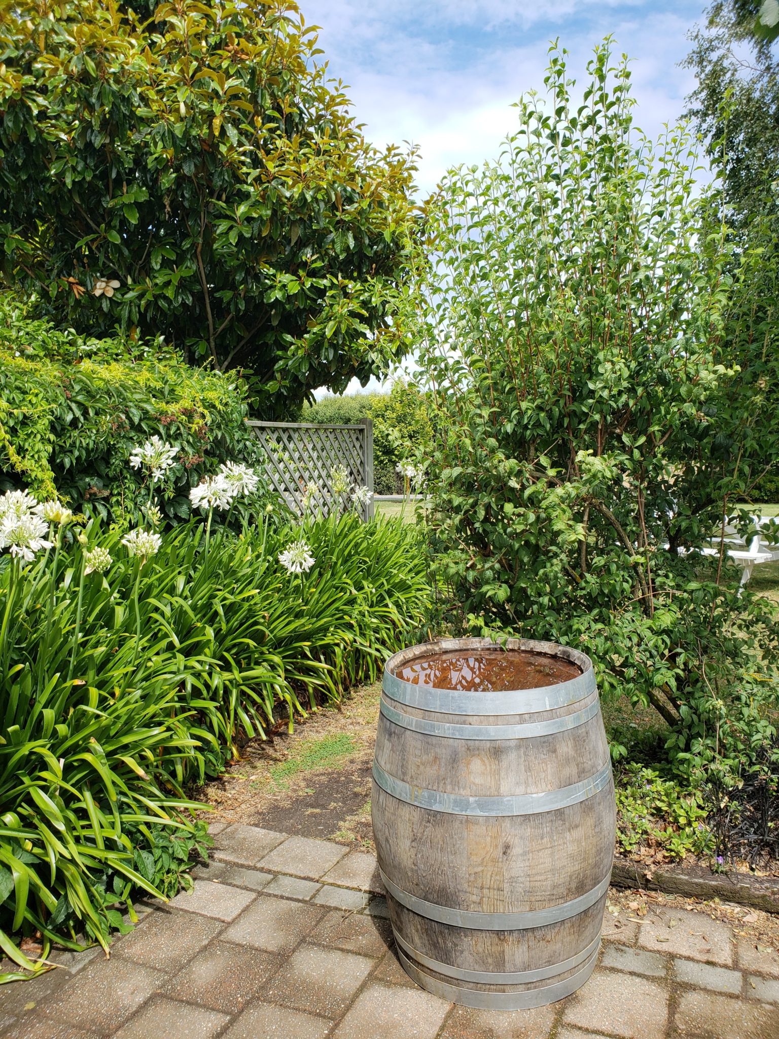 a barrel with water in it surrounded by plants and trees