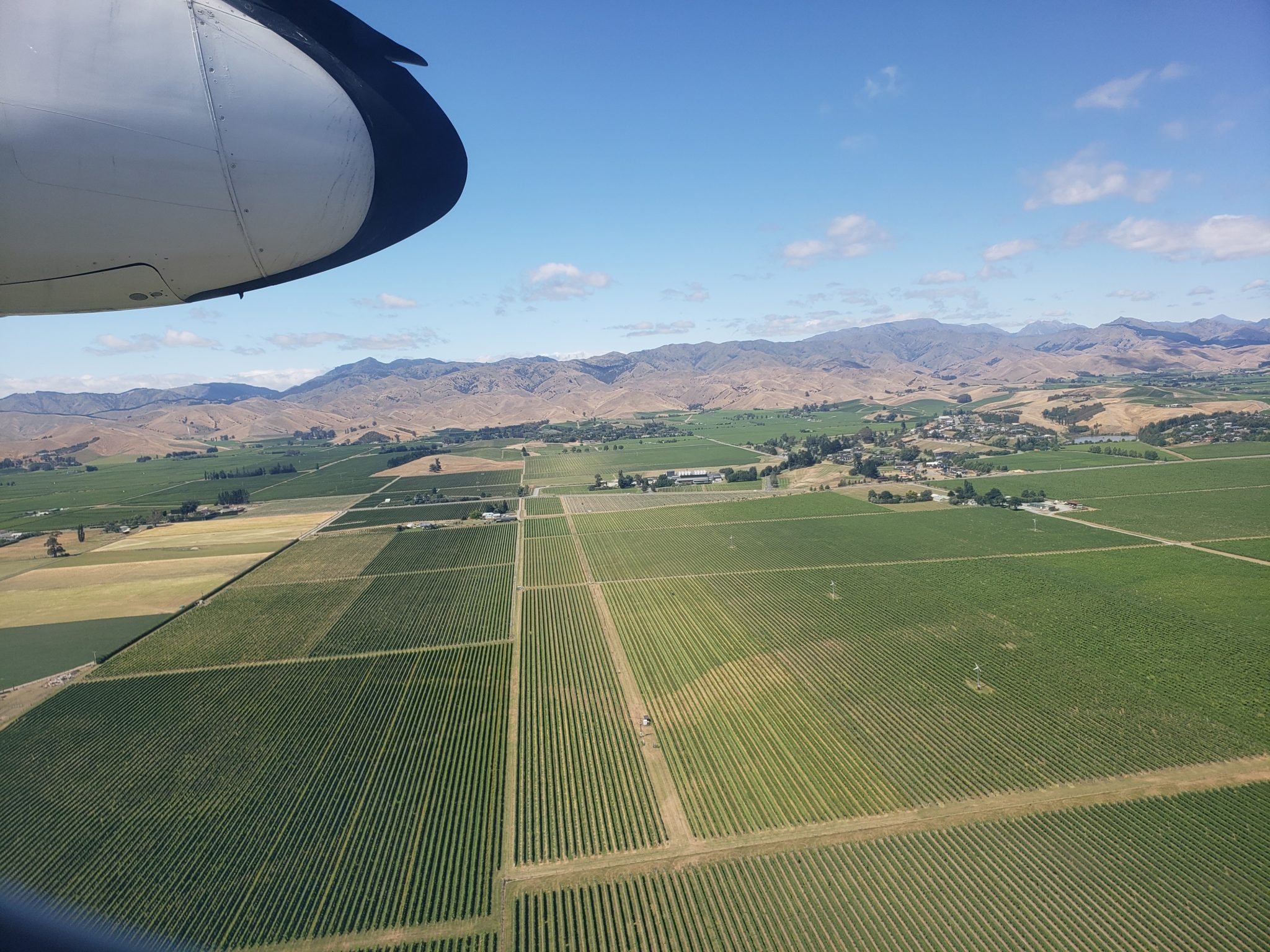 a view of a field of green plants and mountains from an airplane