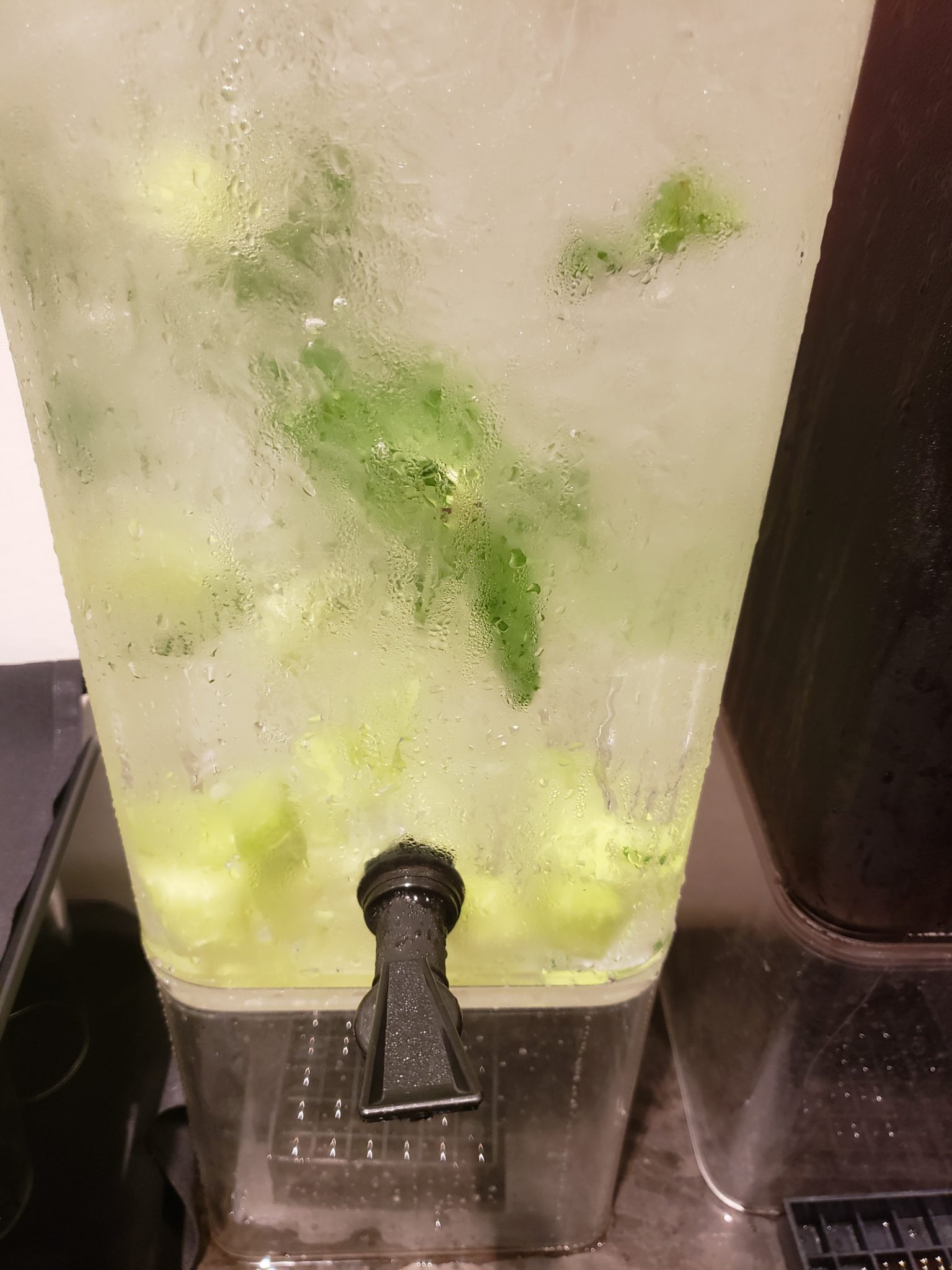 a water dispenser with ice and green leaves