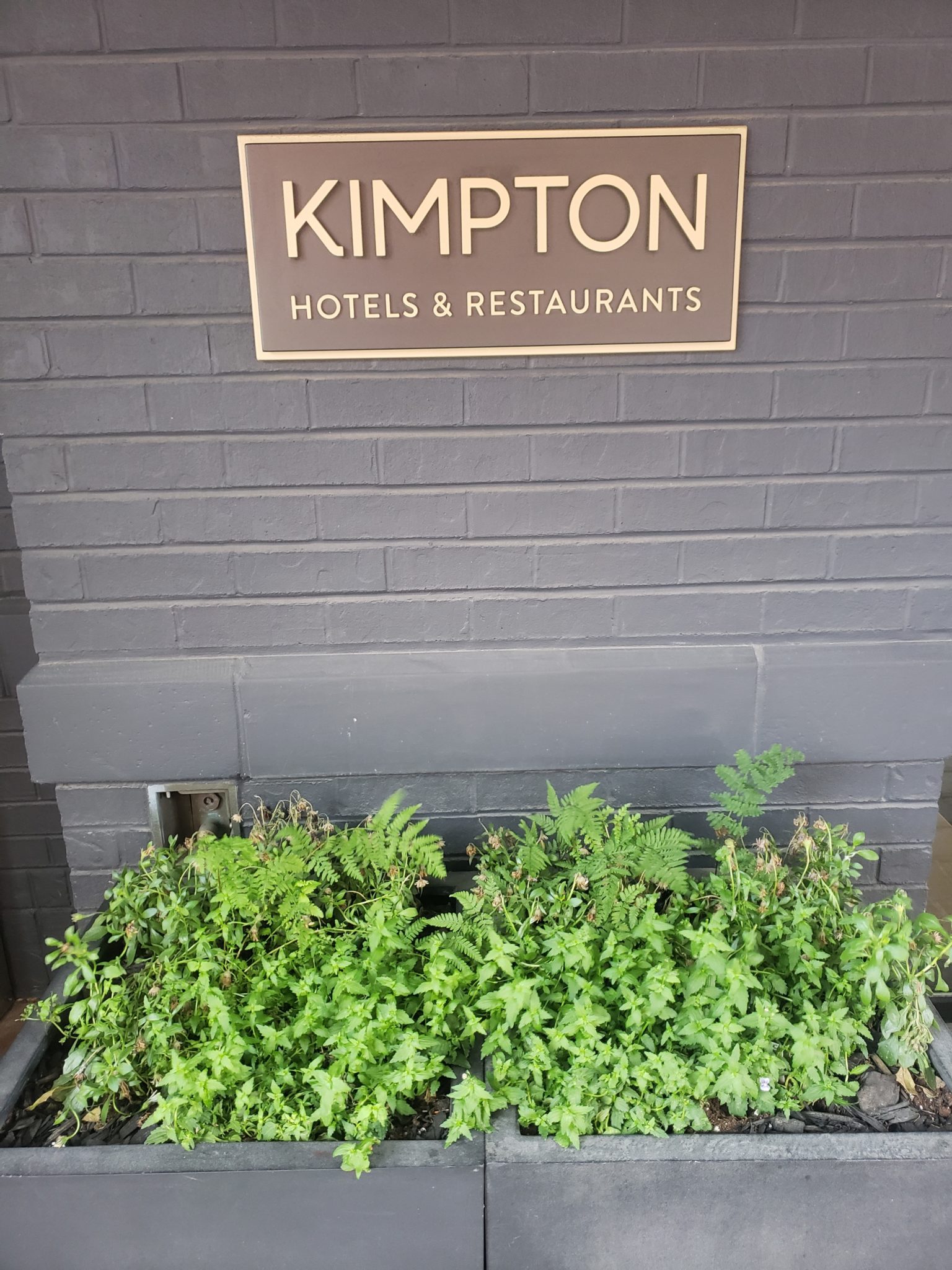 Kimpton St George Toronto Hotel Review